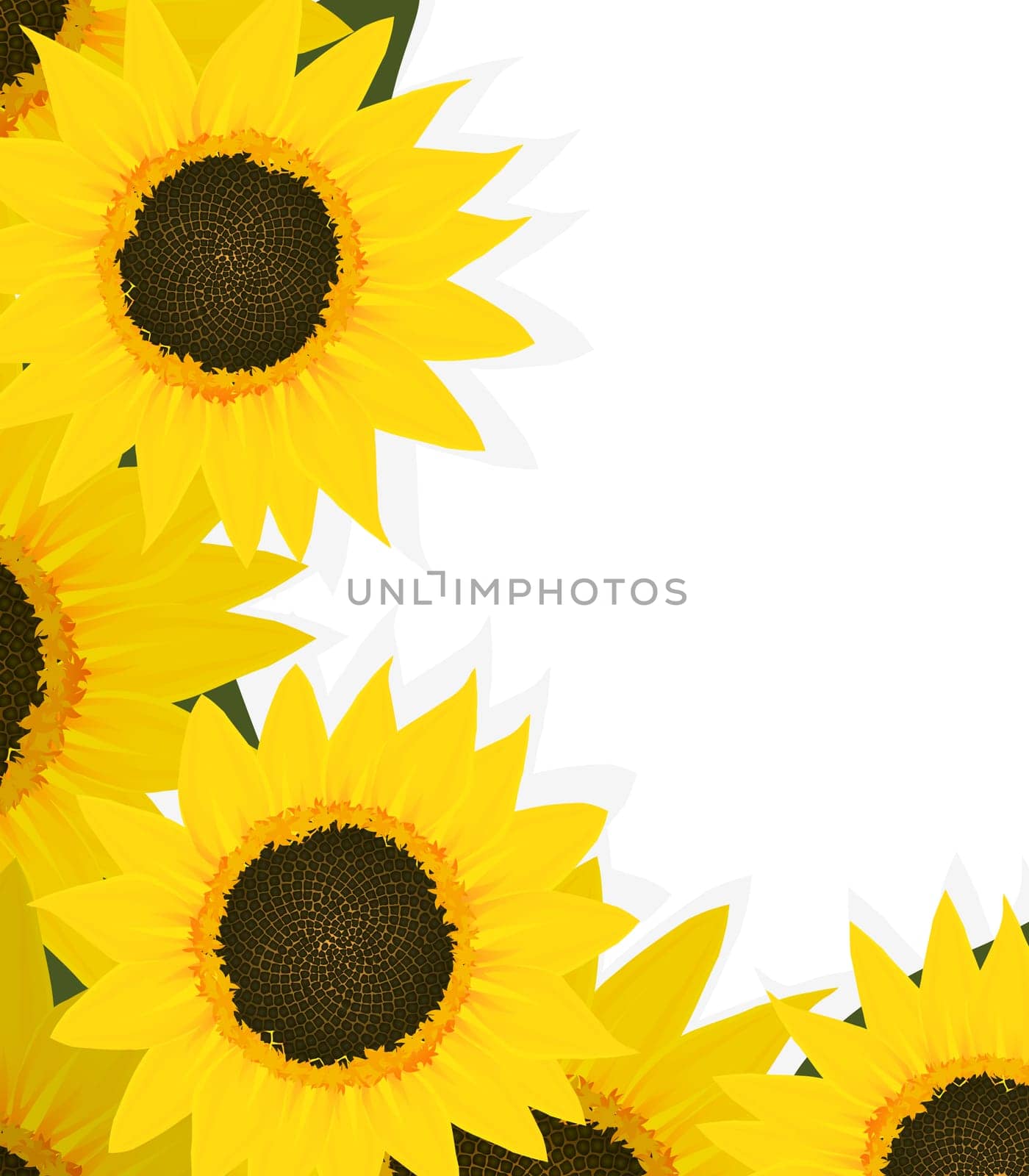 Sunflower corner design with copy space
