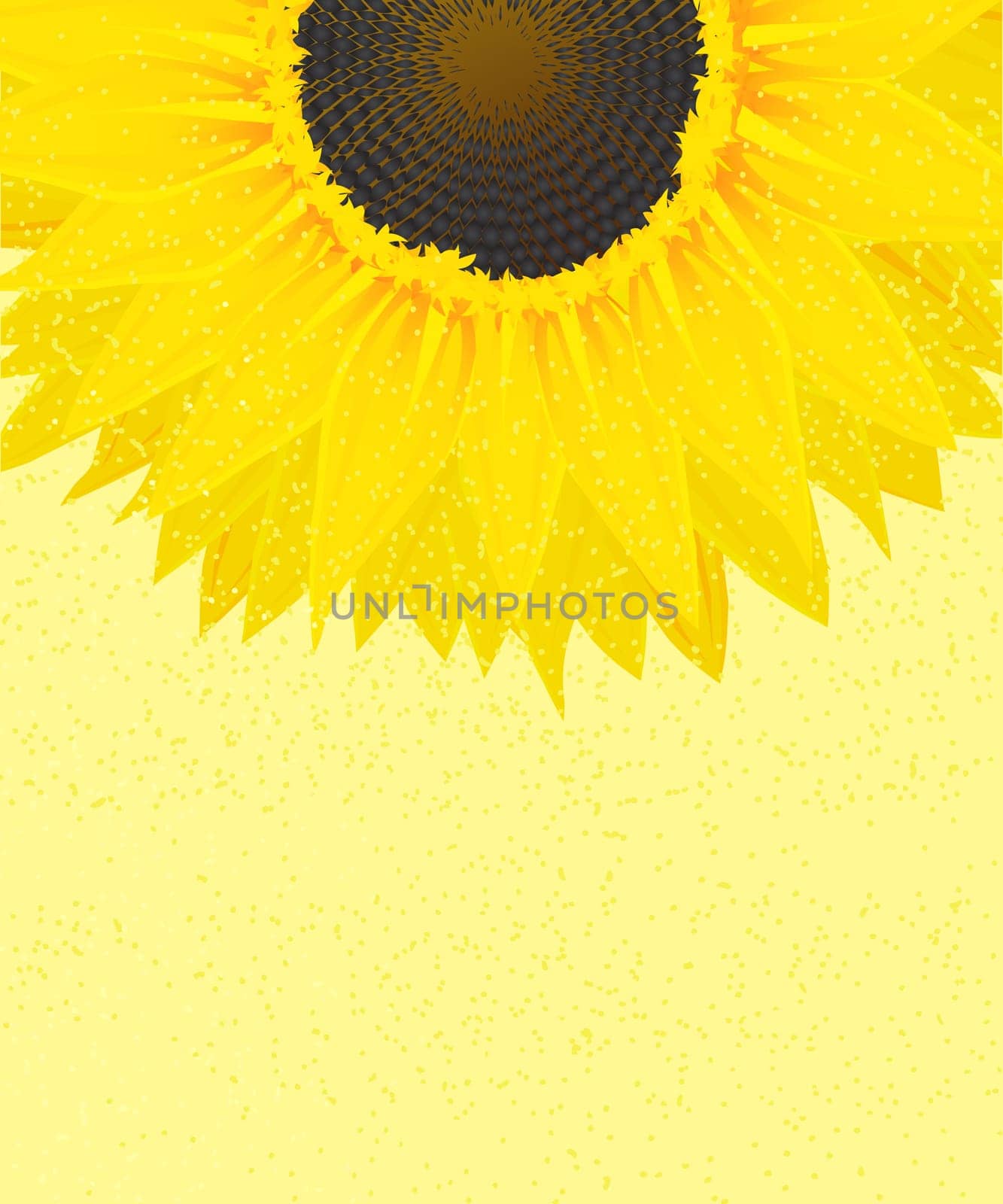 Decorative sunflower on a sunny background with copy space