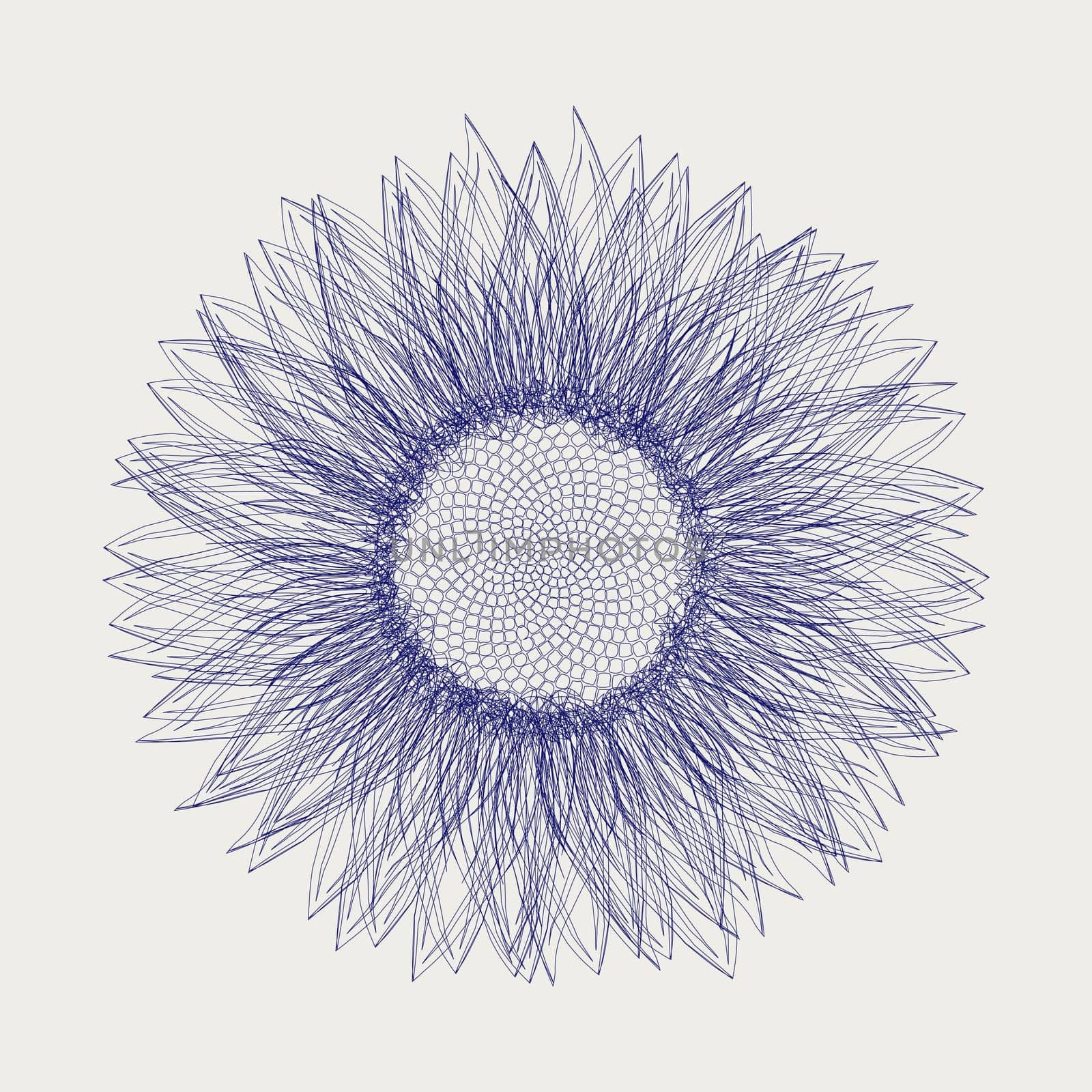 Graphic sketch of a sunflower