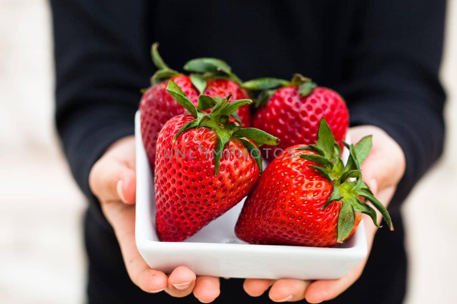 Closeup of four large fresh strawberries in white dish being held in hands of young child