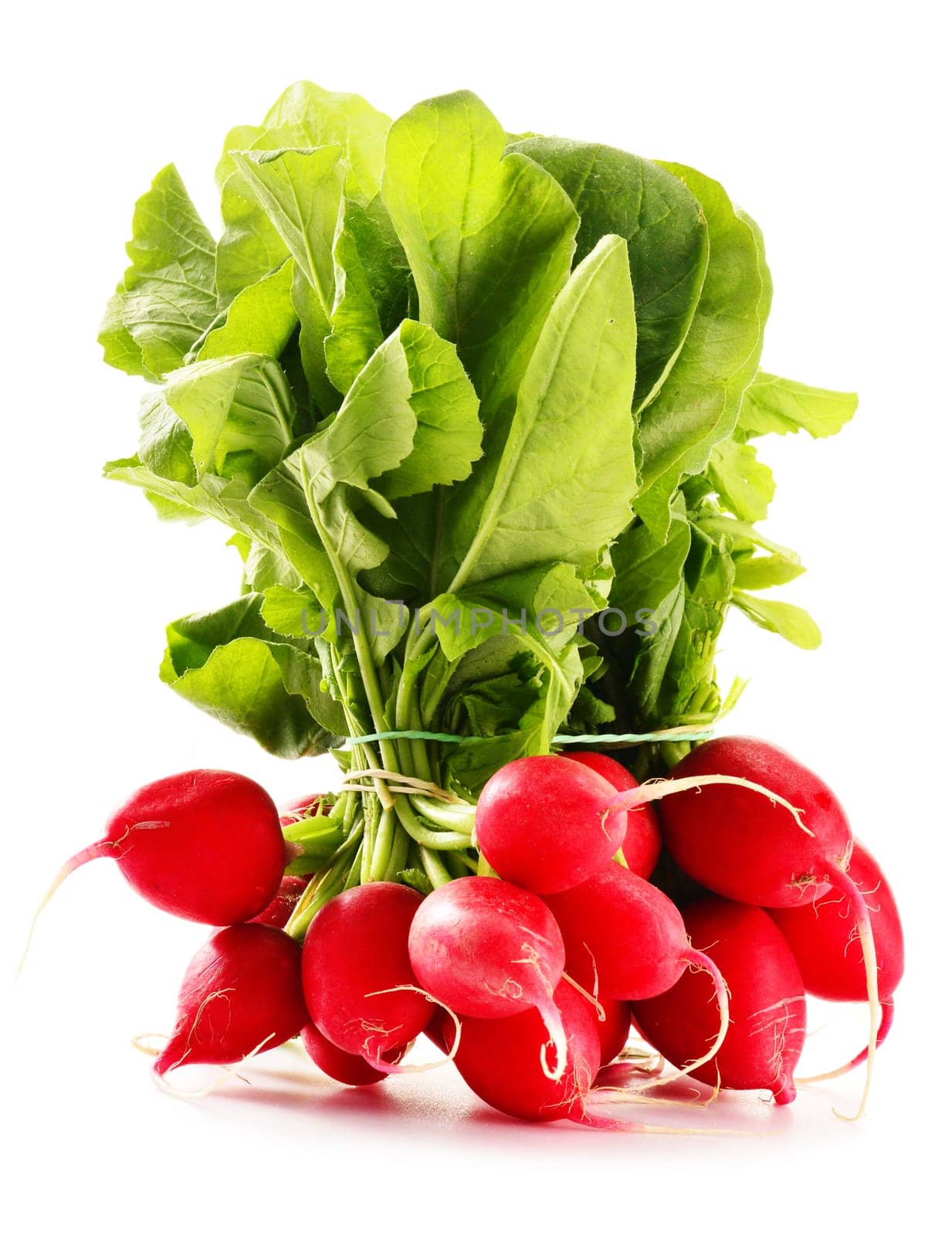 Bunch of radish isolated on white background