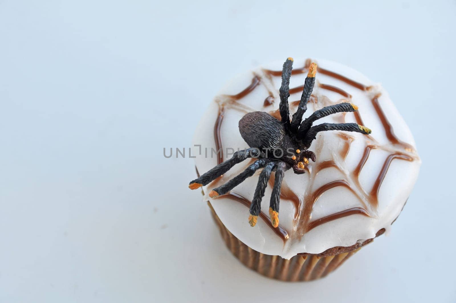 Spider Cupcakes
