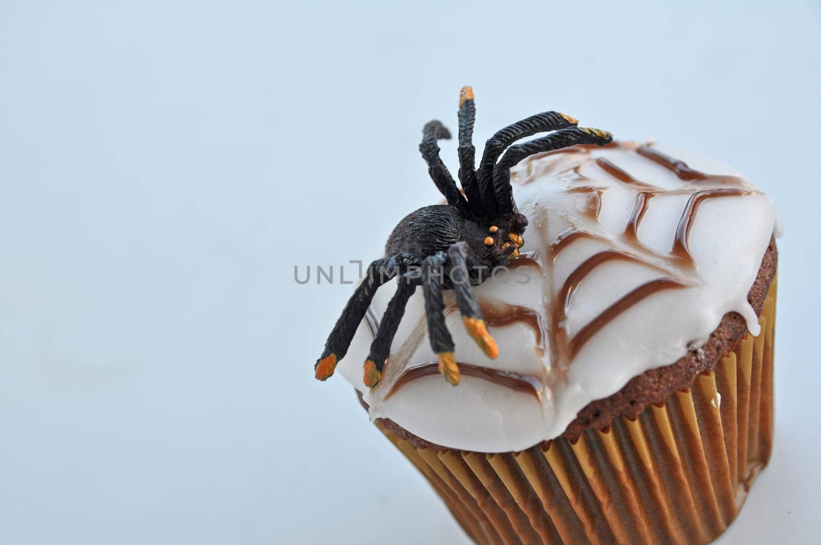Spider Cupcakes