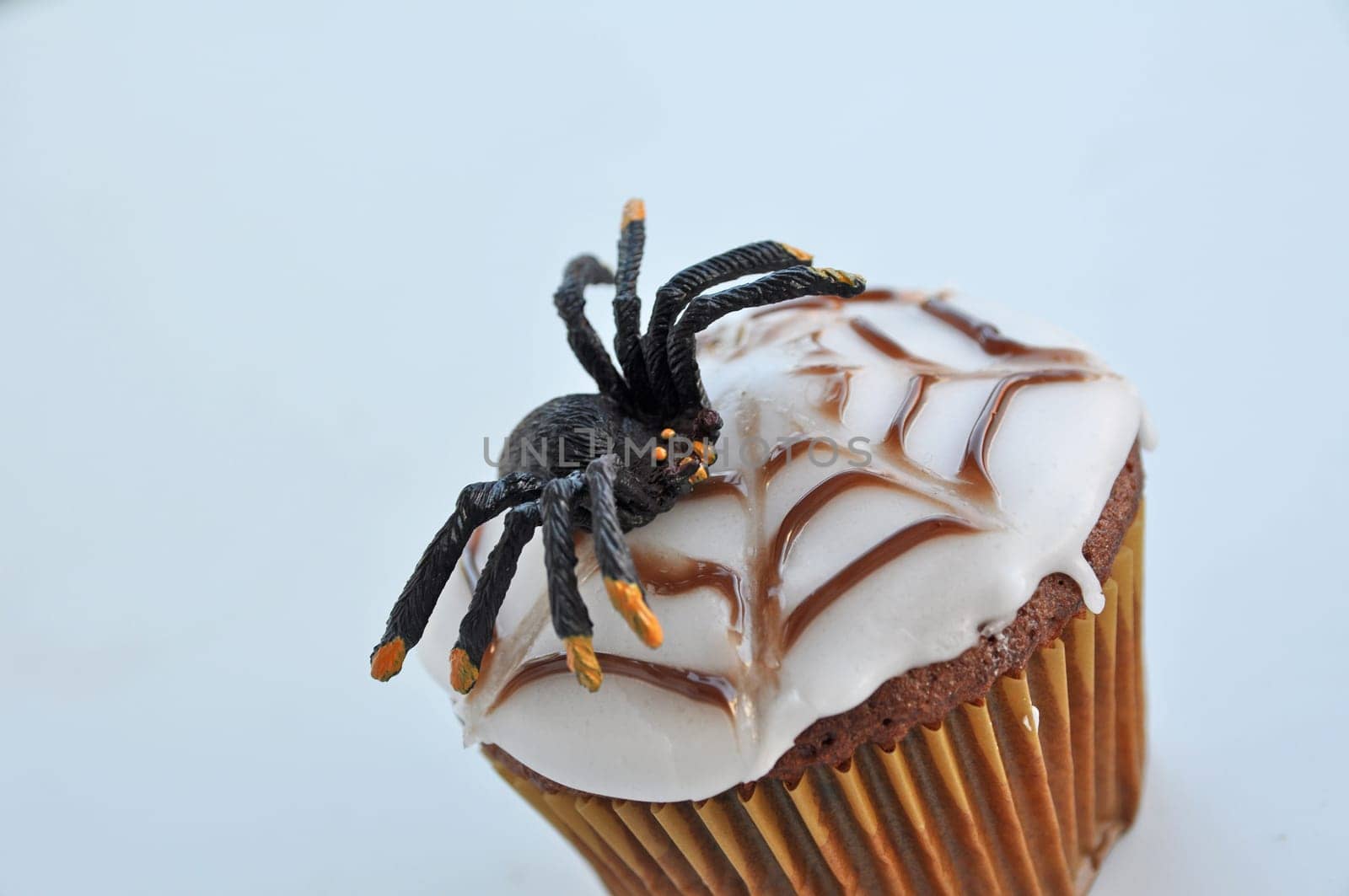 Spider Cupcakes