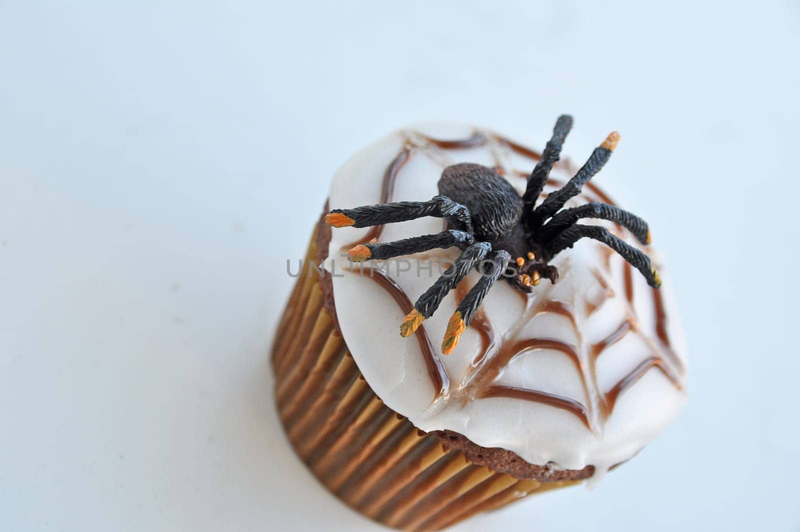 Spider Cupcakes
