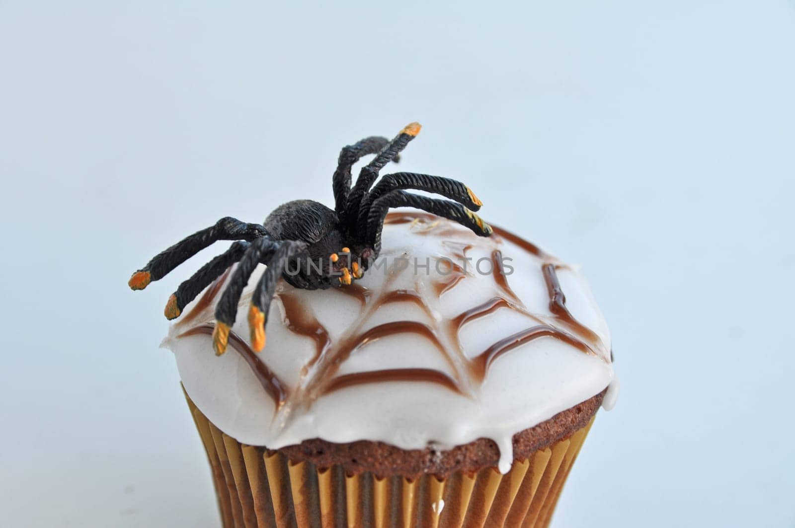Spider Cupcakes