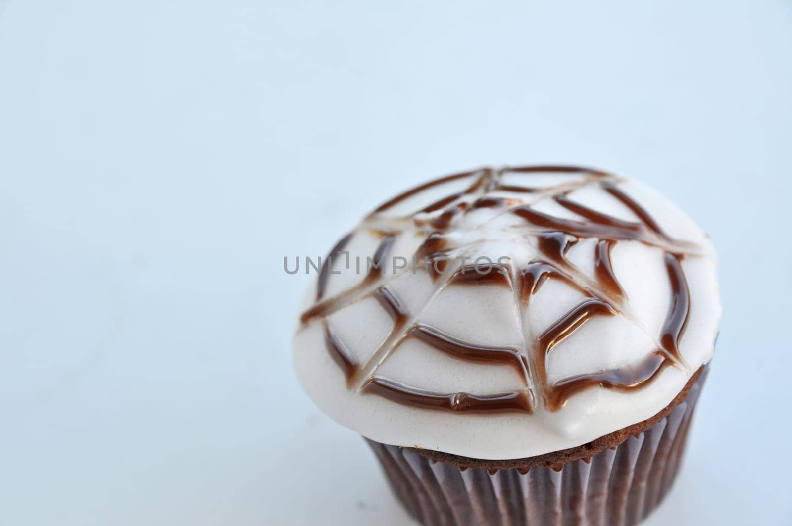 Spider Cupcakes