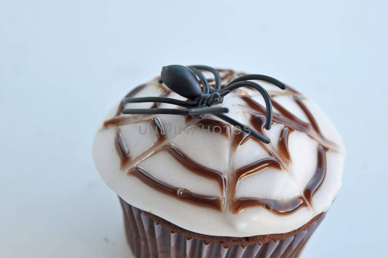 Spider Cupcakes