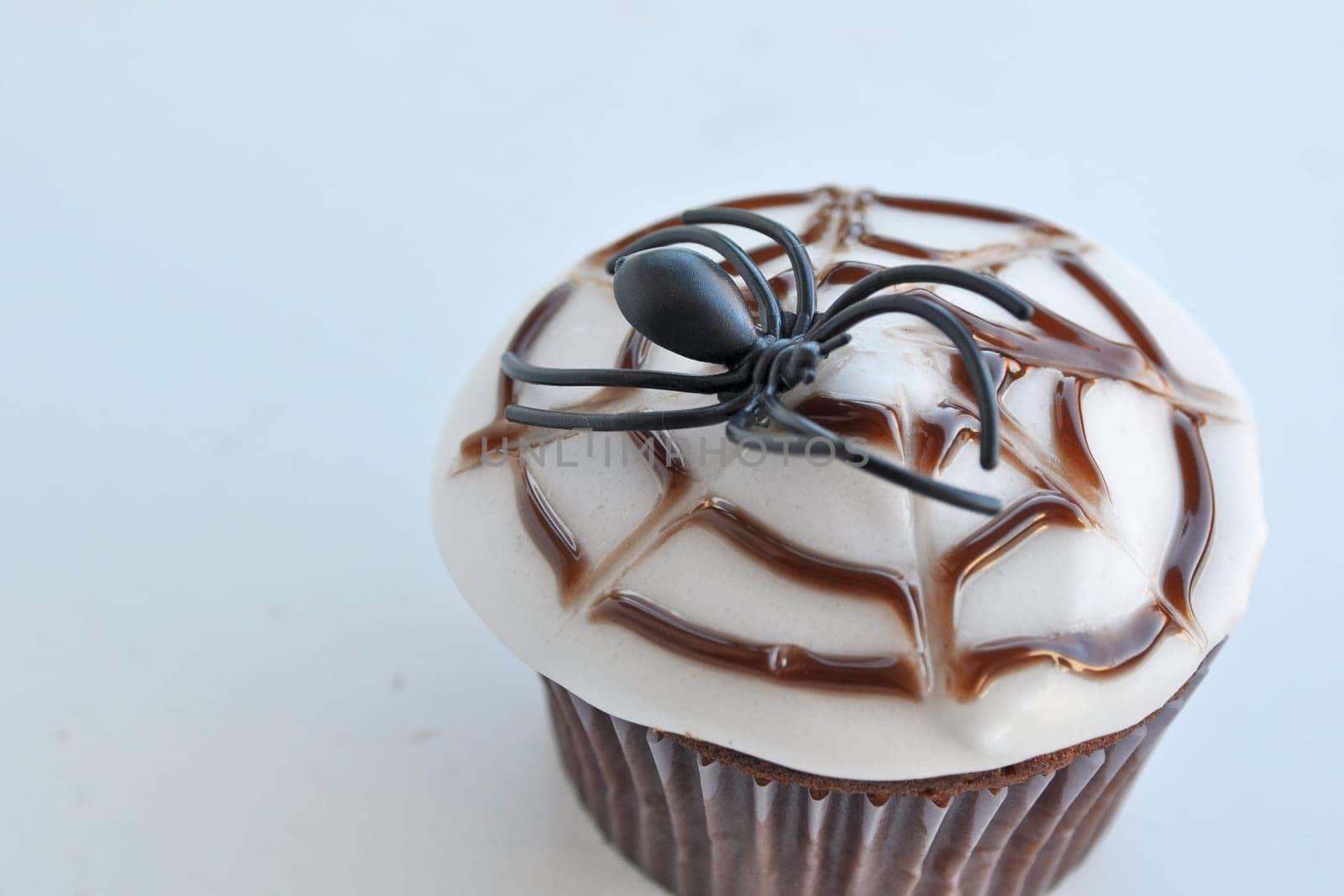 Spider Cupcakes