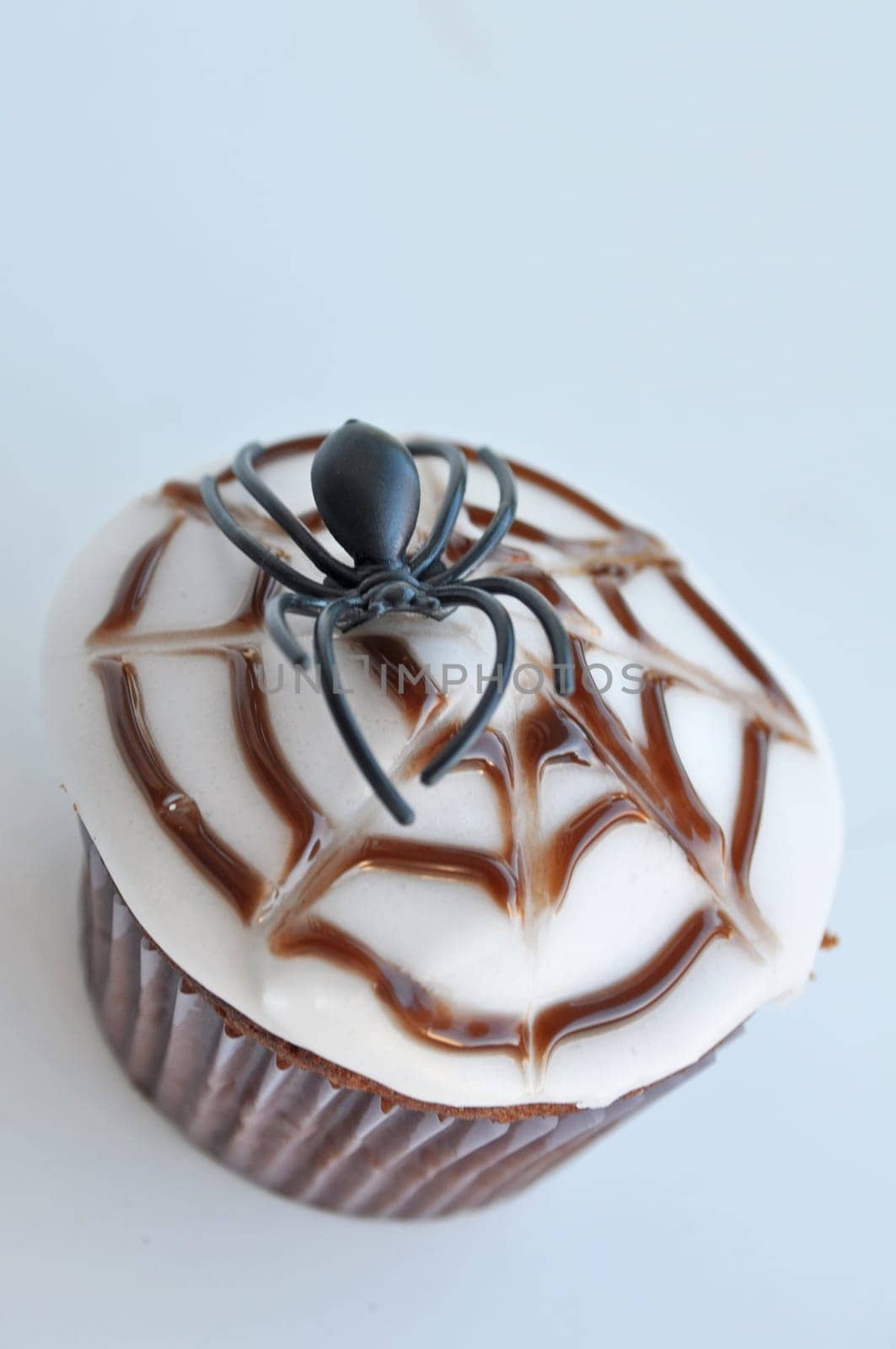 Spider Cupcakes