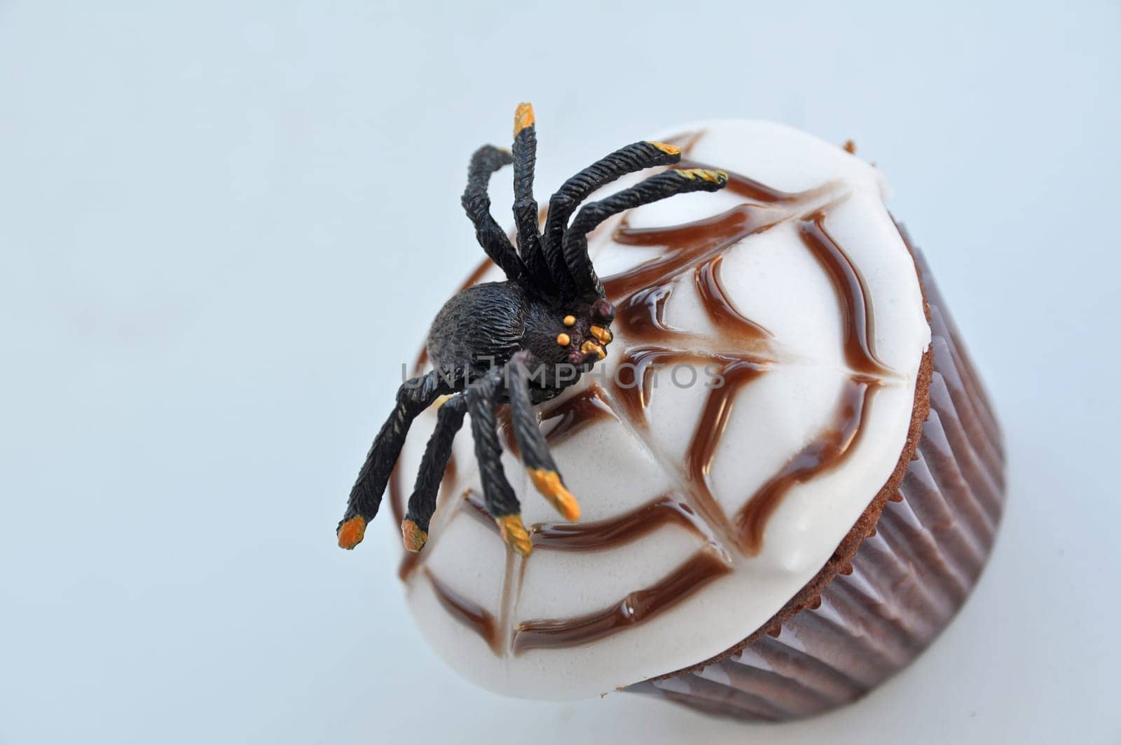Spider Cupcakes