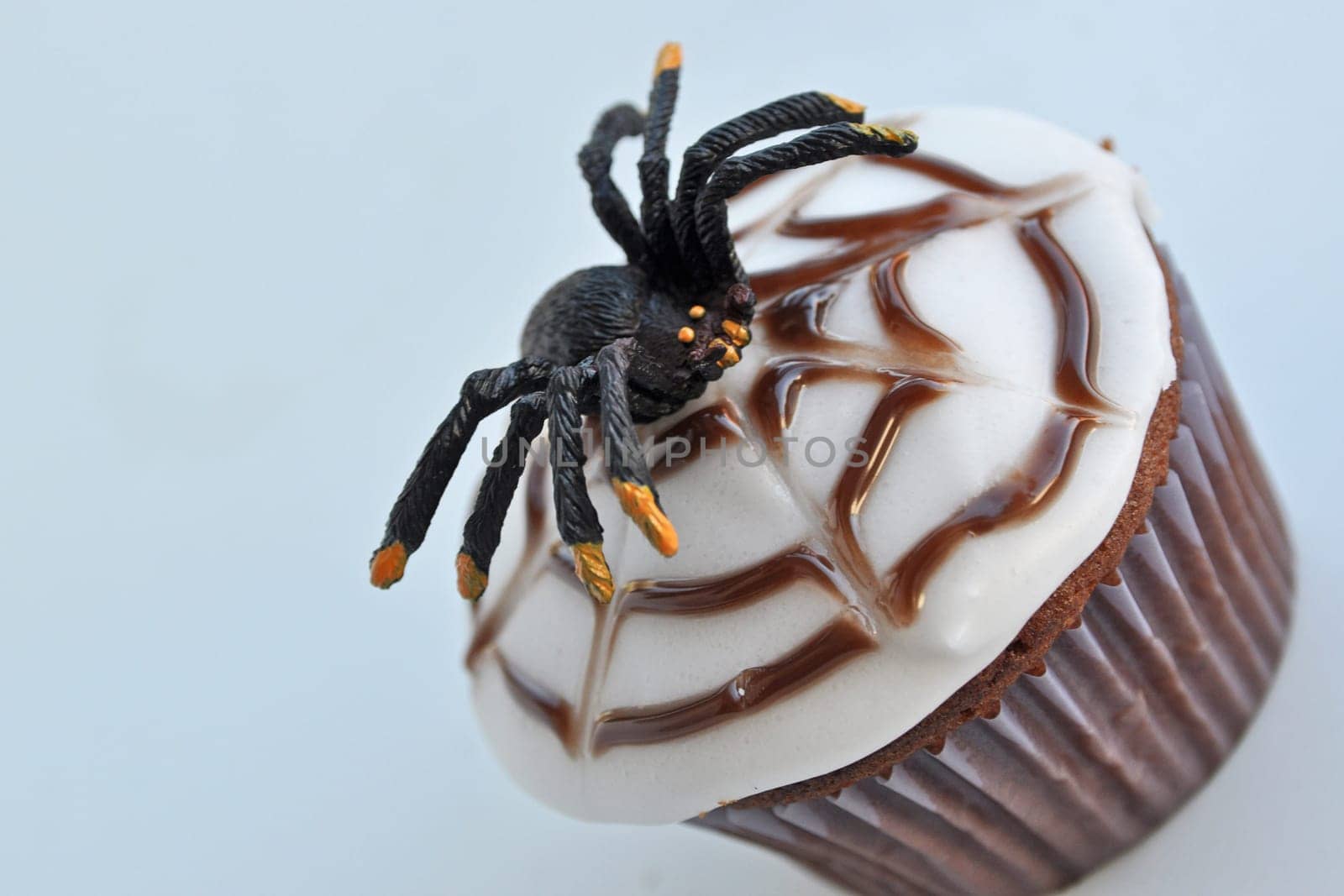 Spider Cupcakes