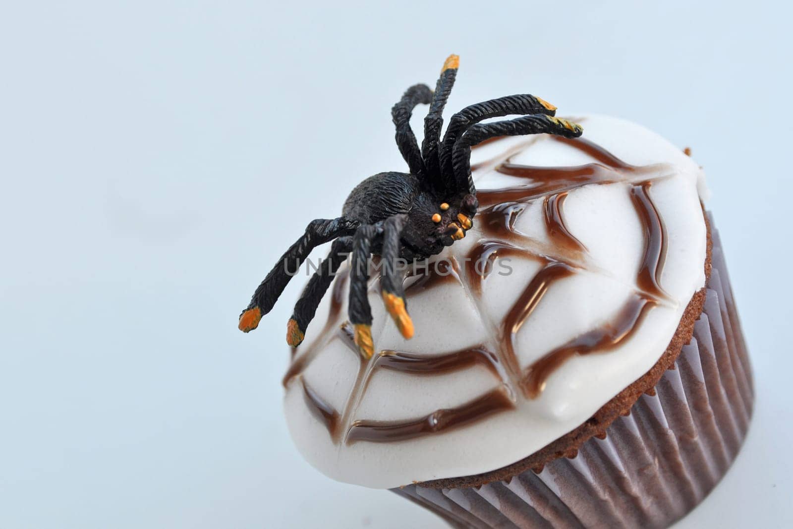 Spider Cupcakes