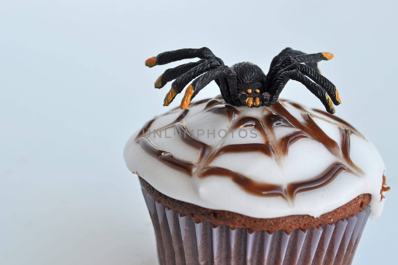 Spider Cupcakes