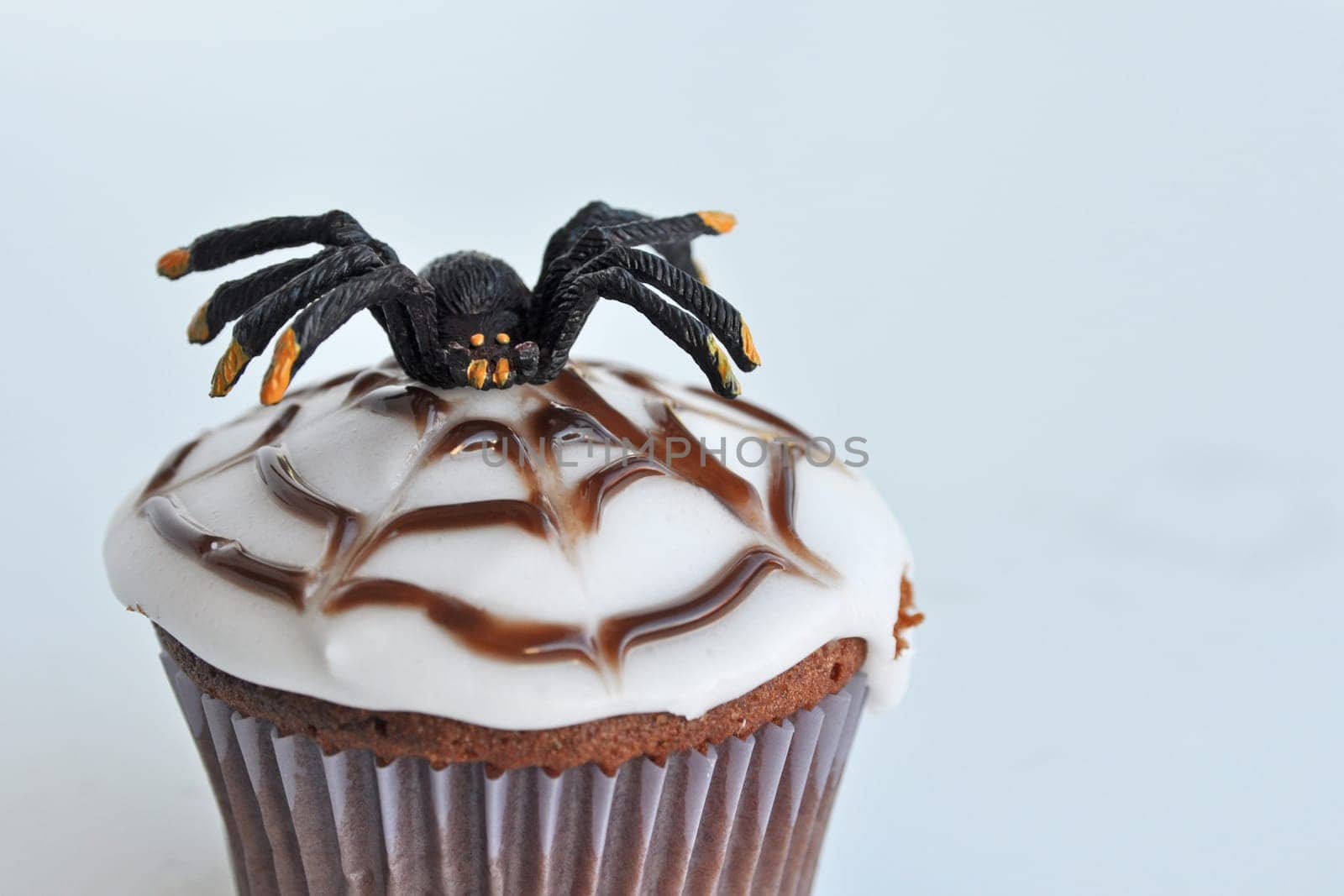 Spider Cupcakes
