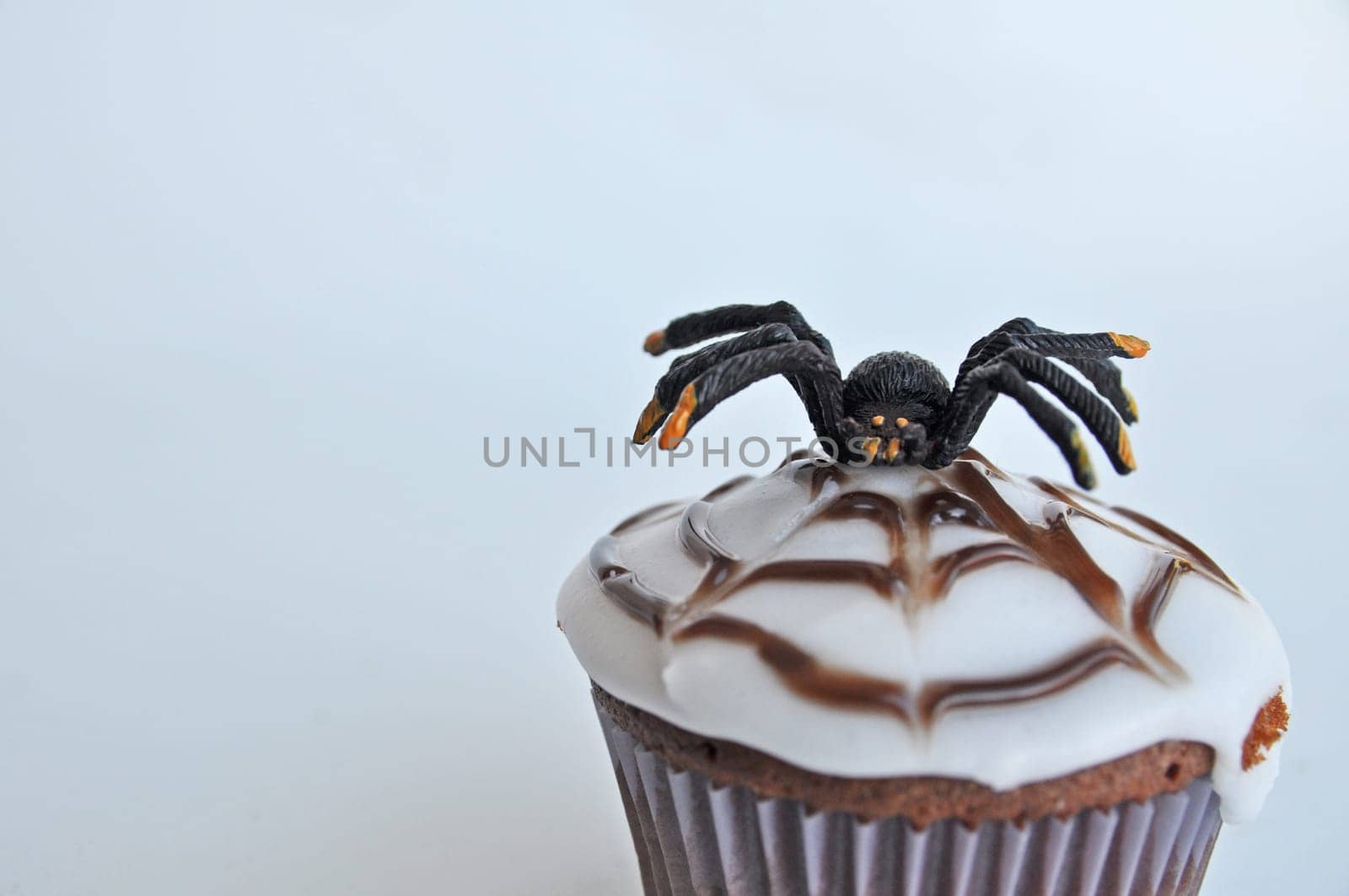 Spider Cupcakes