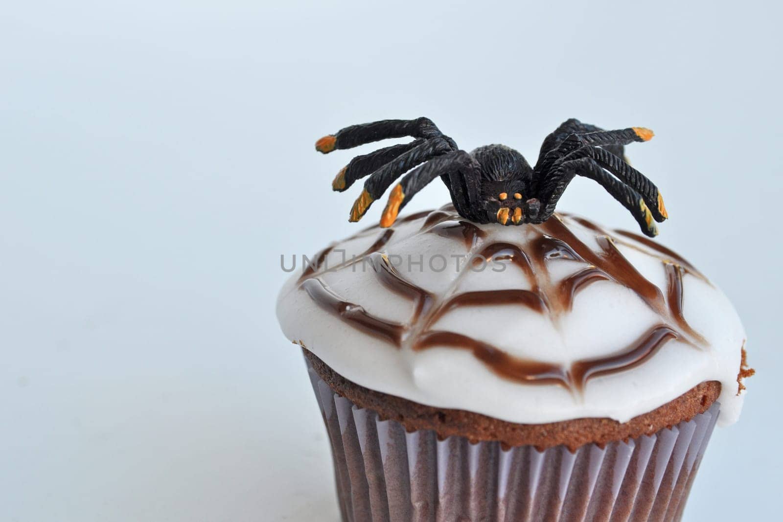 Spider Cupcakes