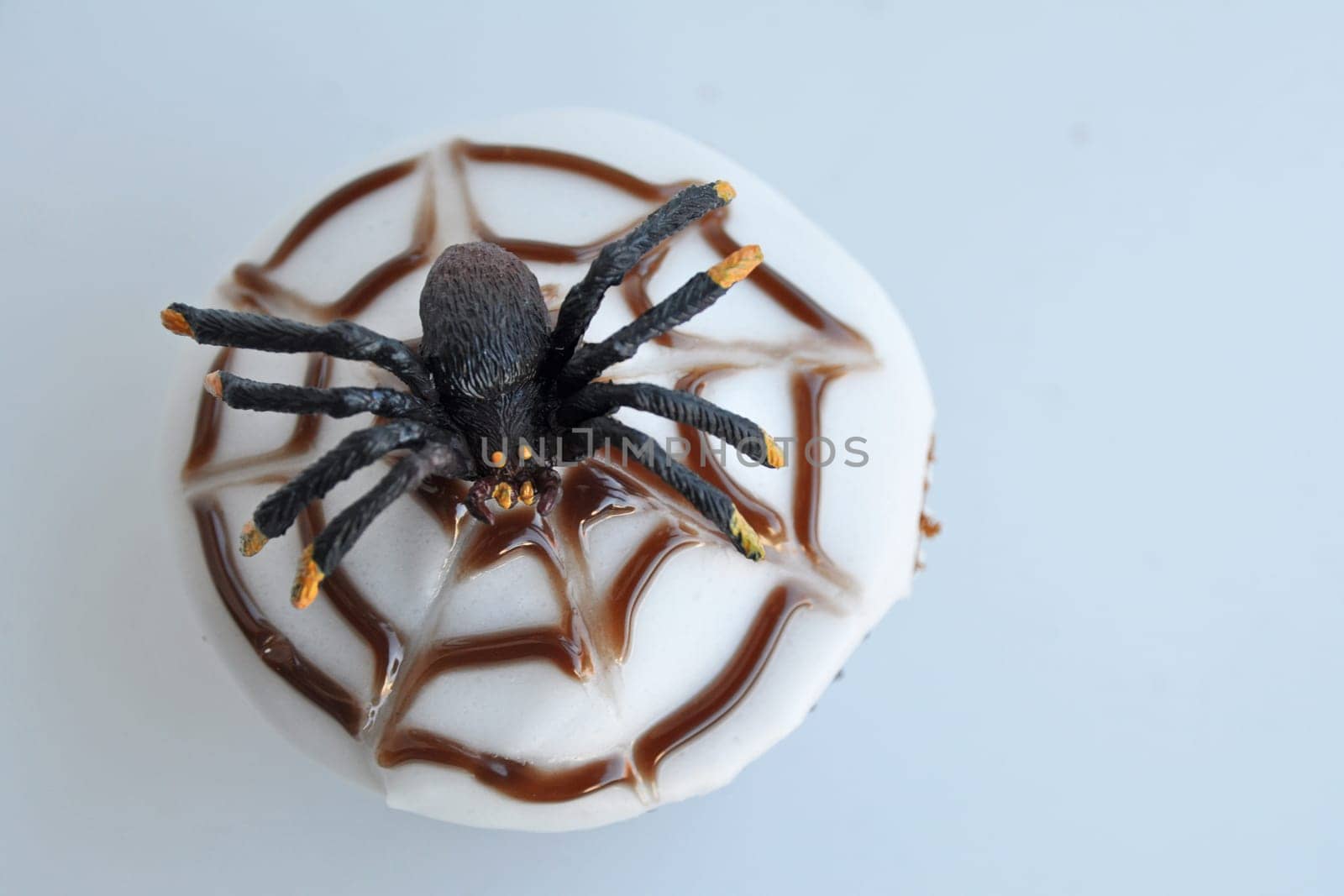 Spider Cupcakes