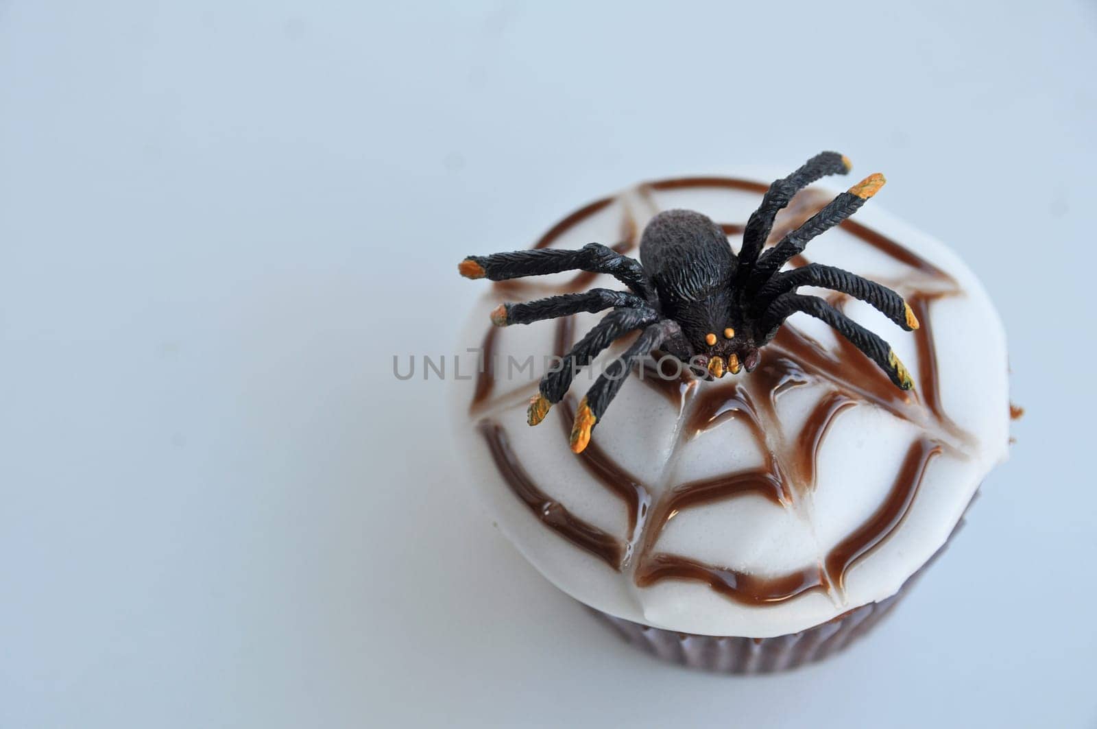 Spider Cupcakes