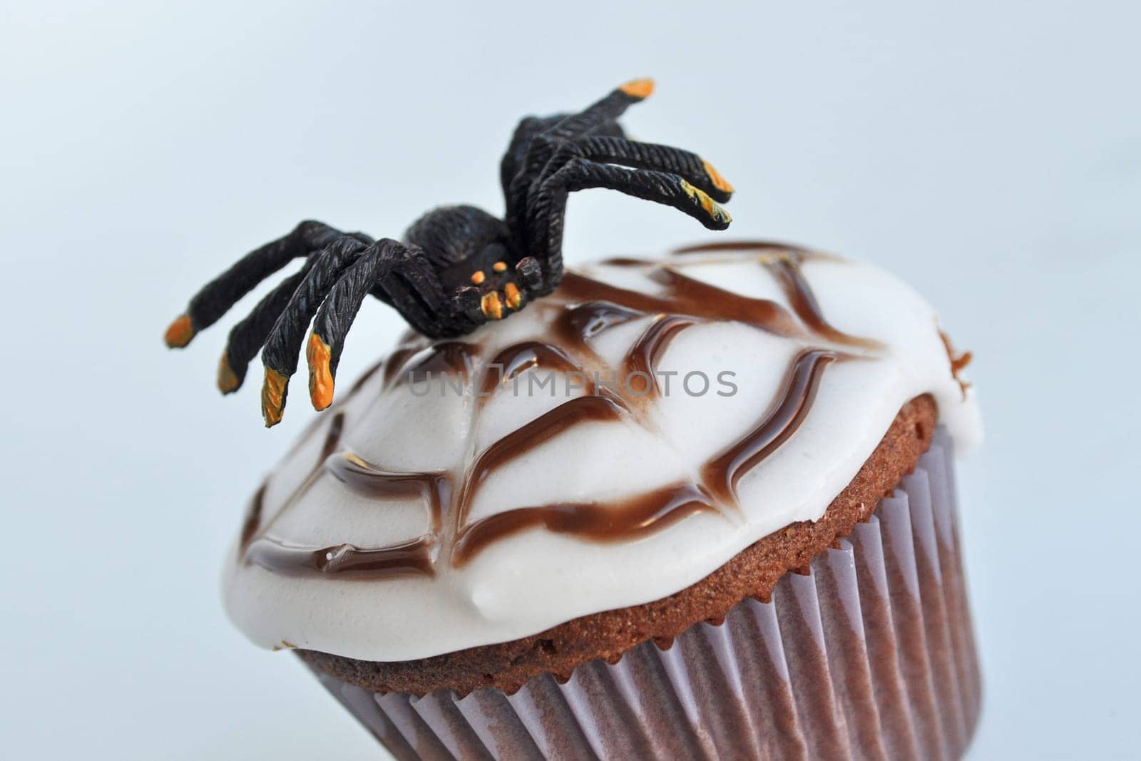 Spider Cupcakes
