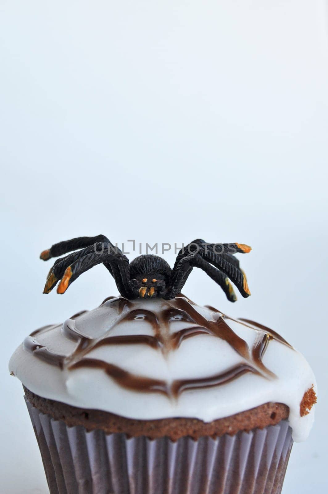 Spider Cupcakes