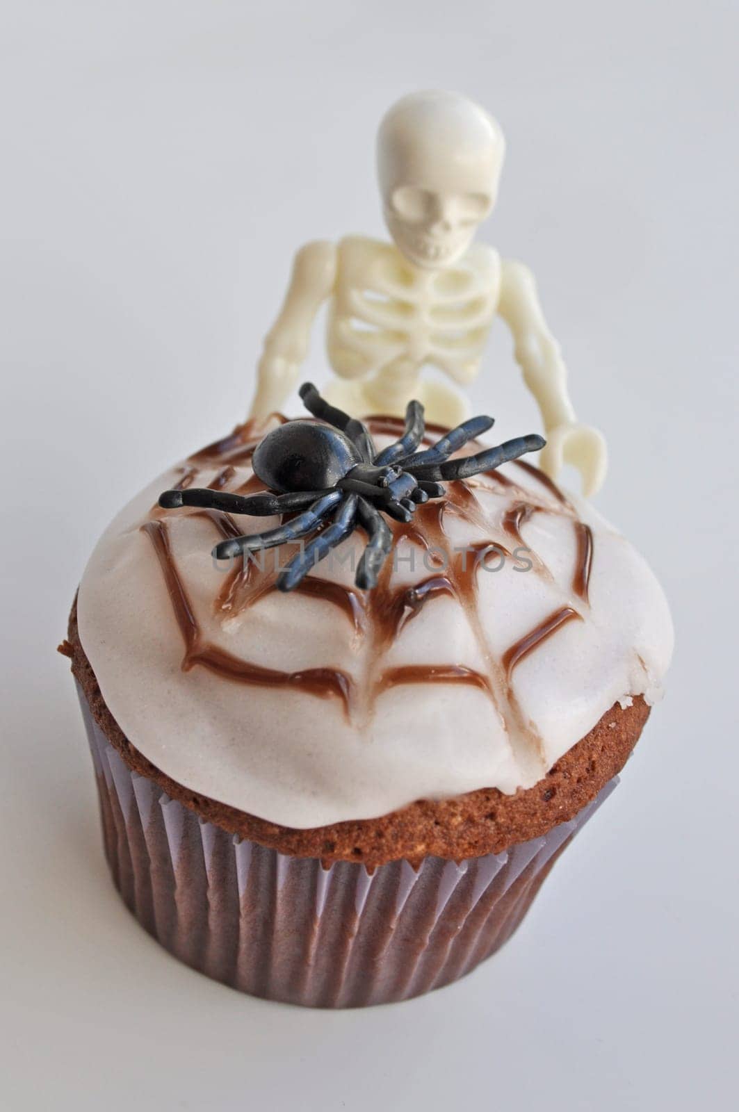 Spider Cupcakes