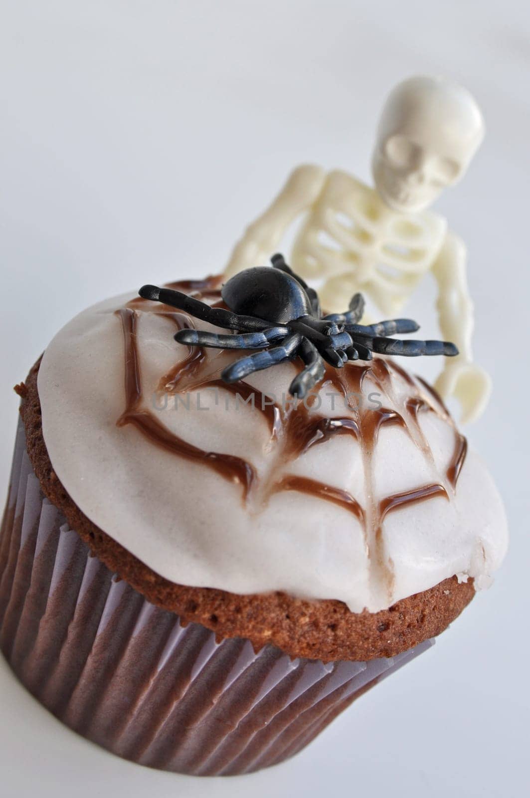 Spider Cupcakes