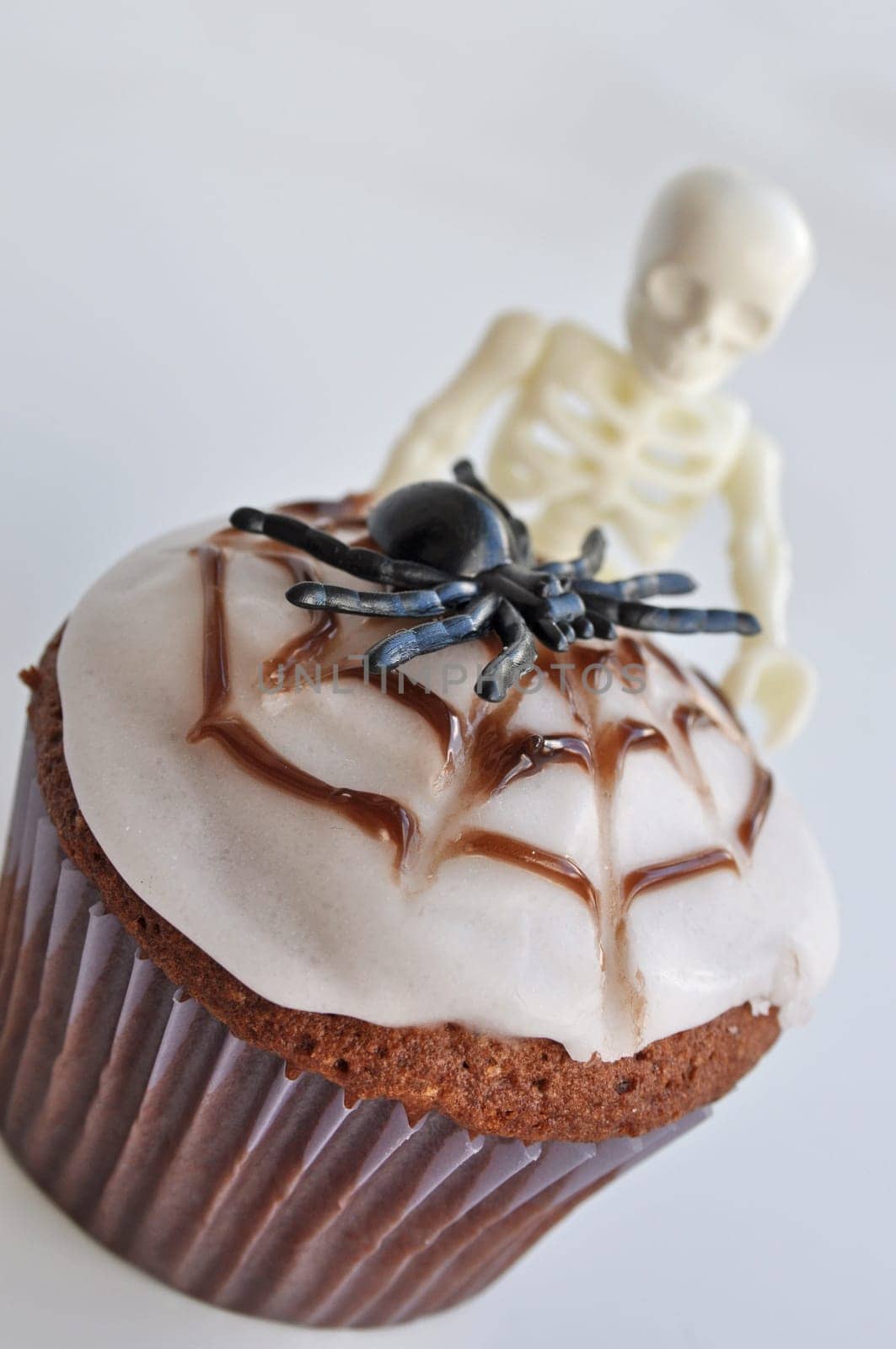 Spider Cupcakes