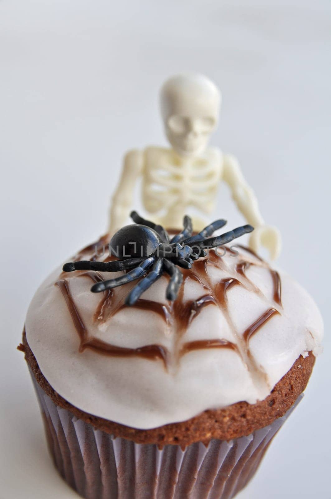 Spider Cupcakes