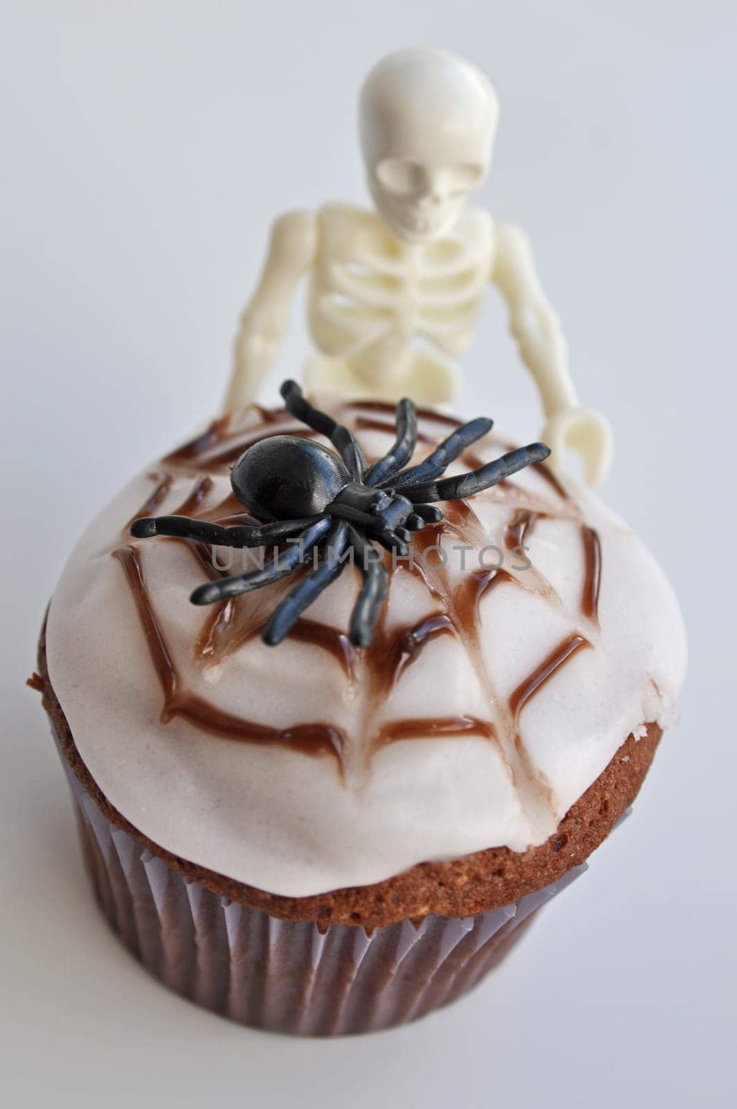 Spider Cupcakes