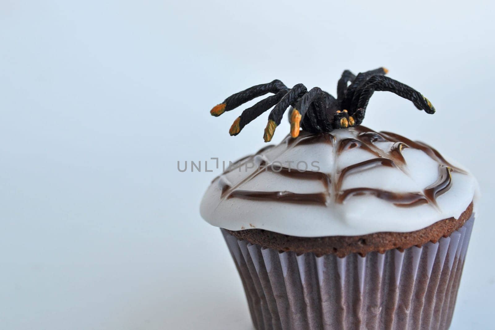 Spider Cupcakes