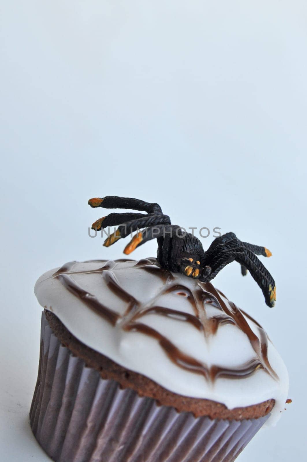 Spider Cupcakes