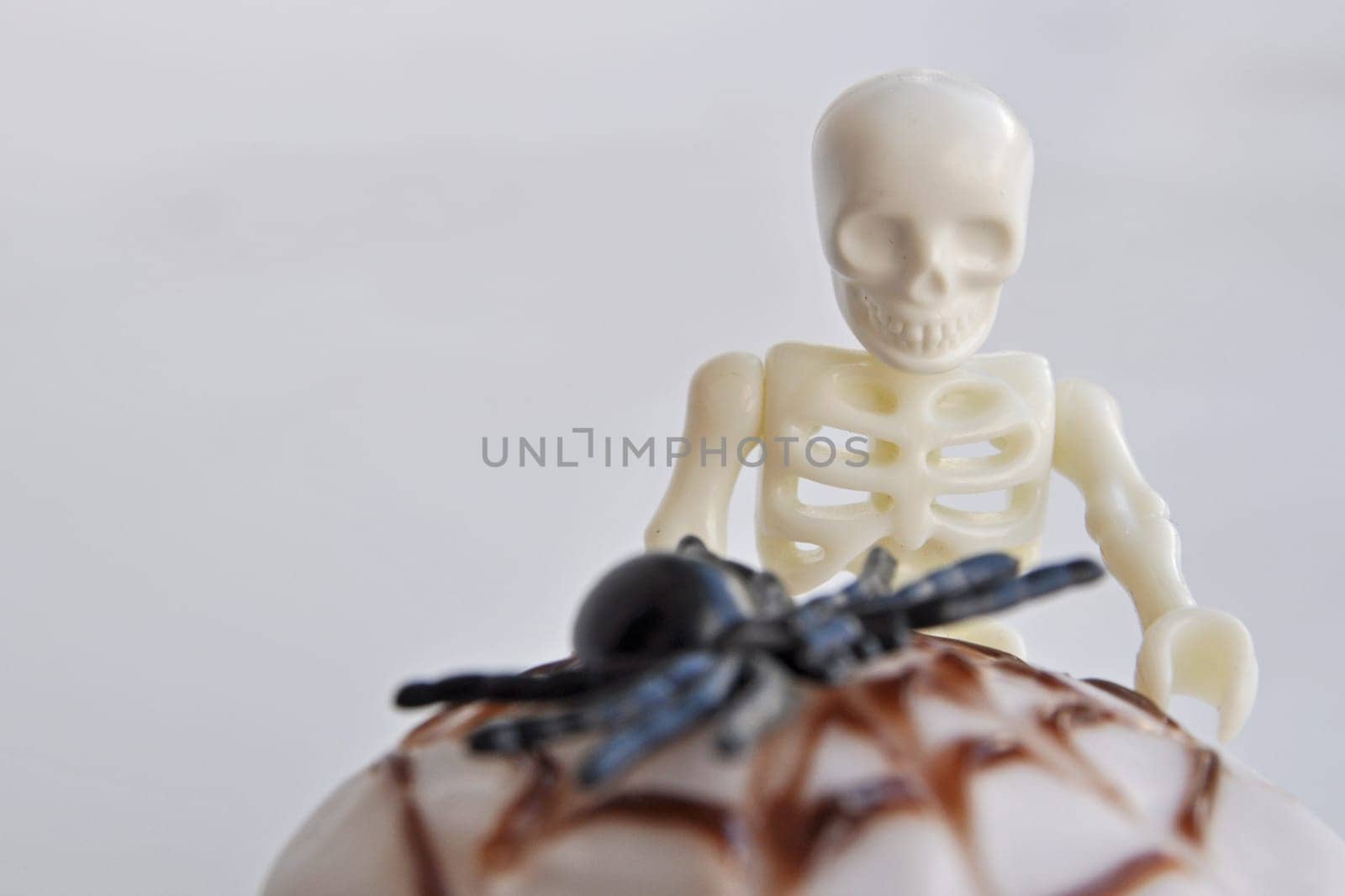 Spider Cupcakes