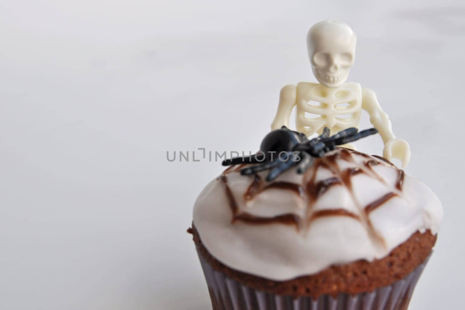 Spider Cupcakes