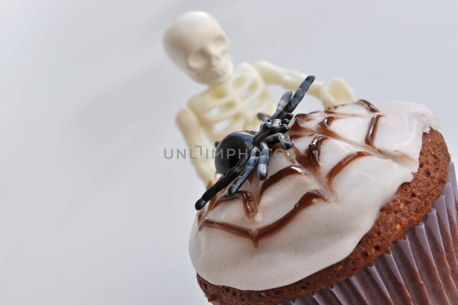 Spider Cupcakes