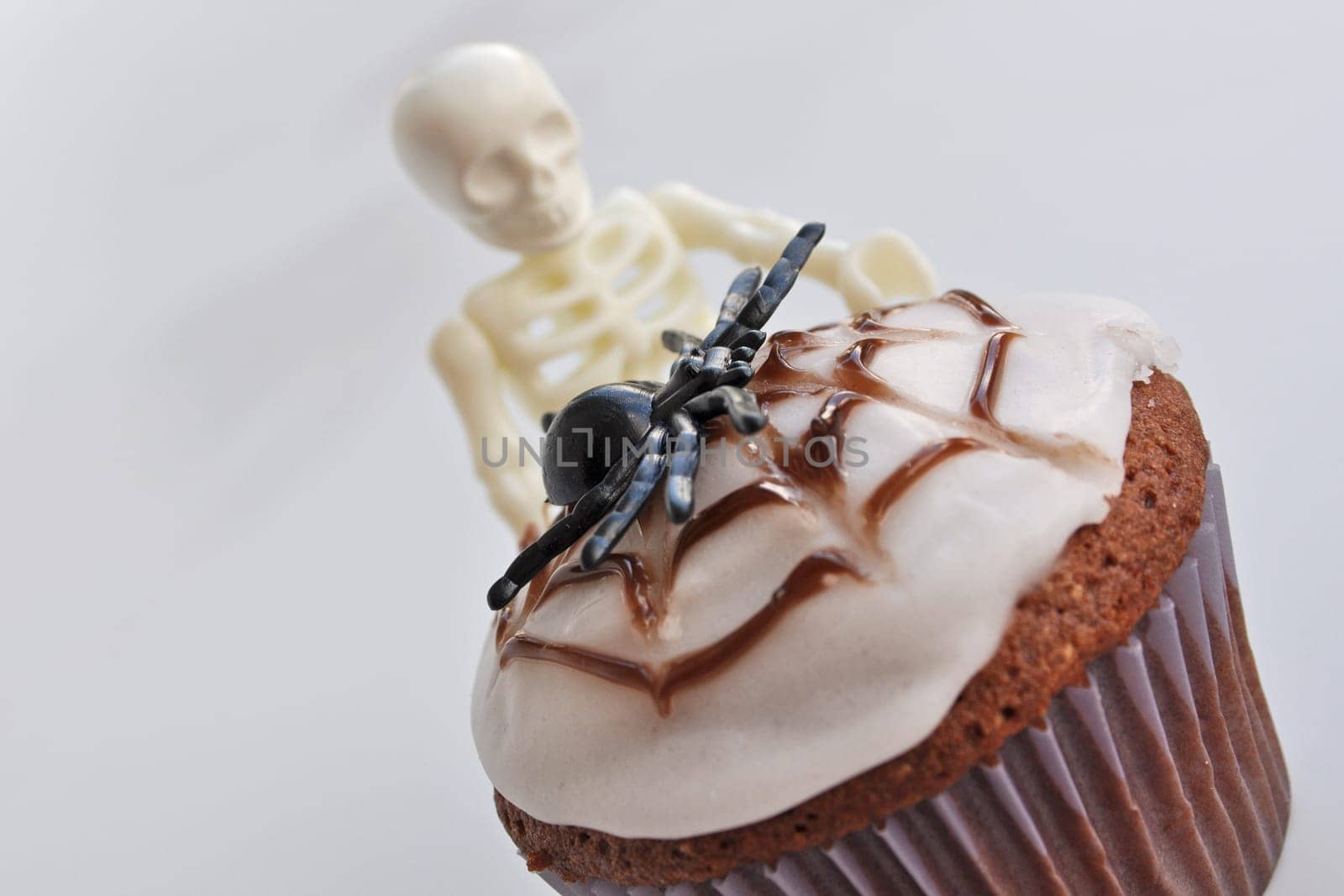 Spider Cupcakes