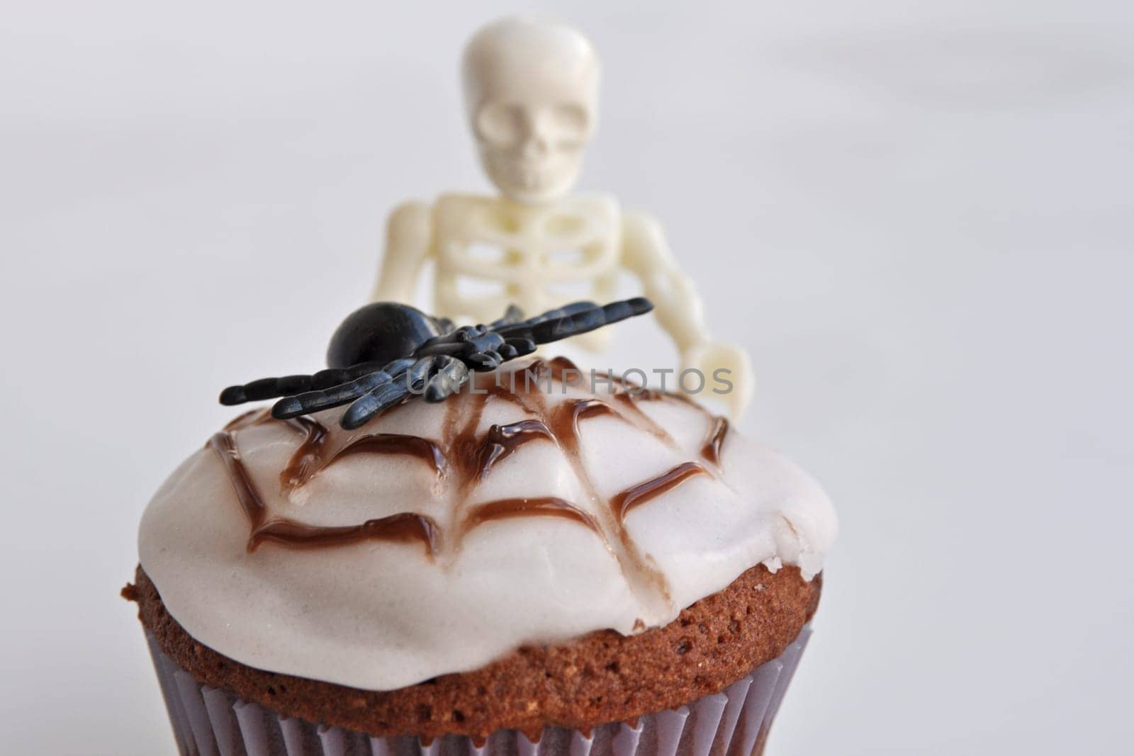 Spider Cupcakes