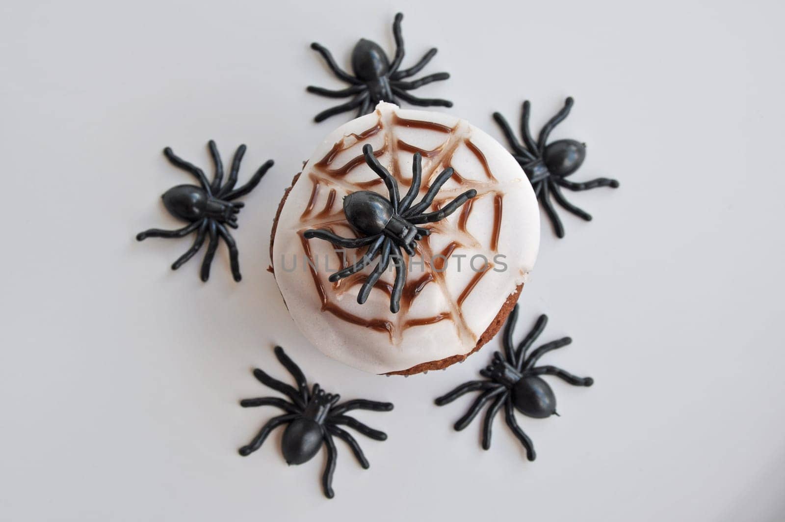 Spider Cupcakes