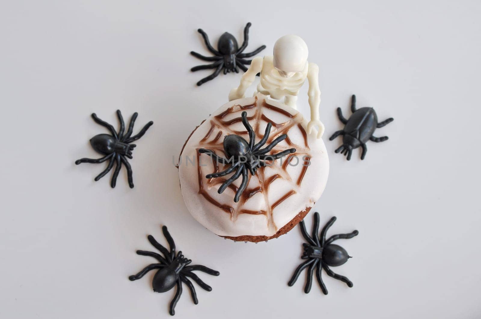 Spider Cupcakes