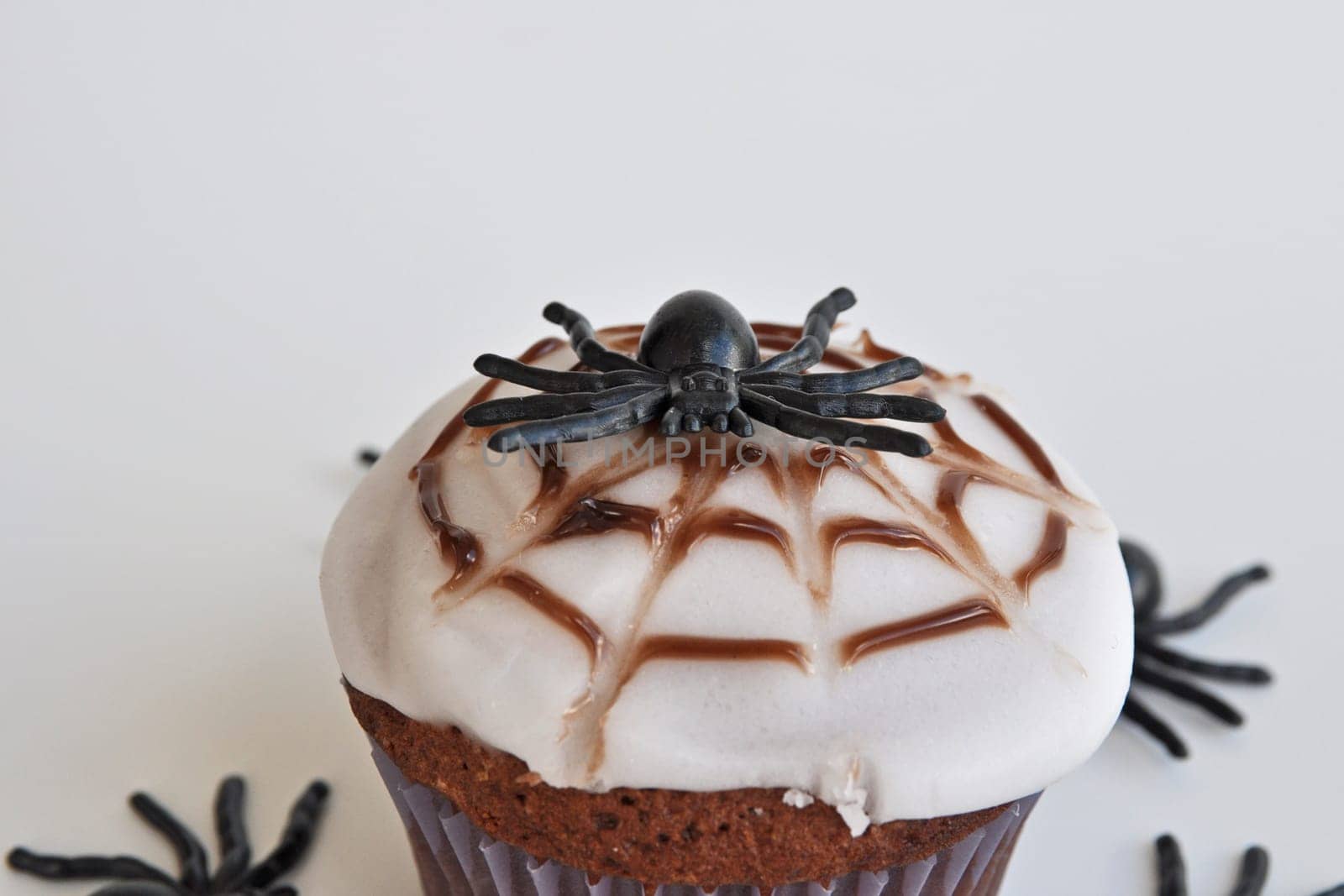Spider Cupcakes