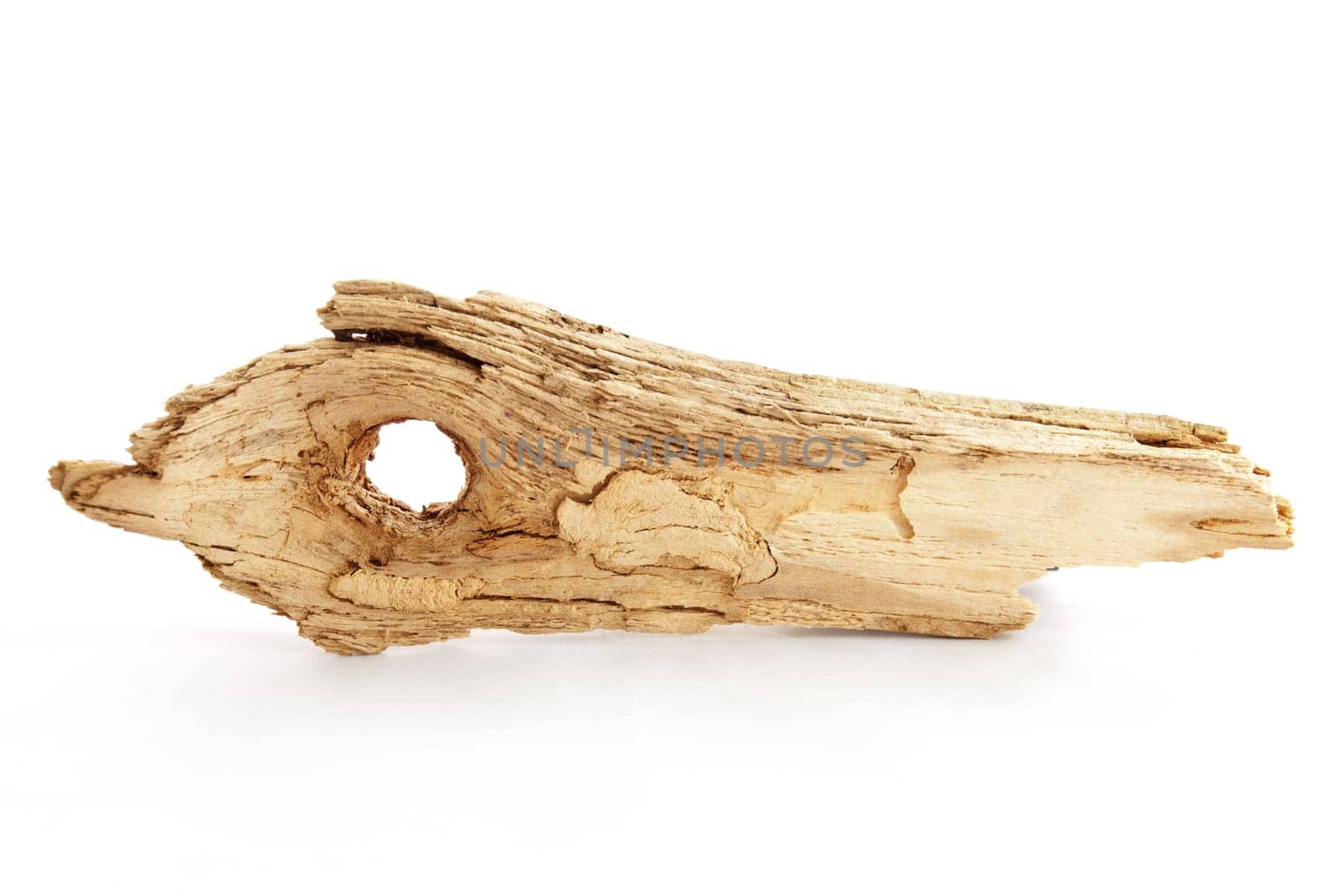 a pice of driftwood on white with copy space as marker tag
