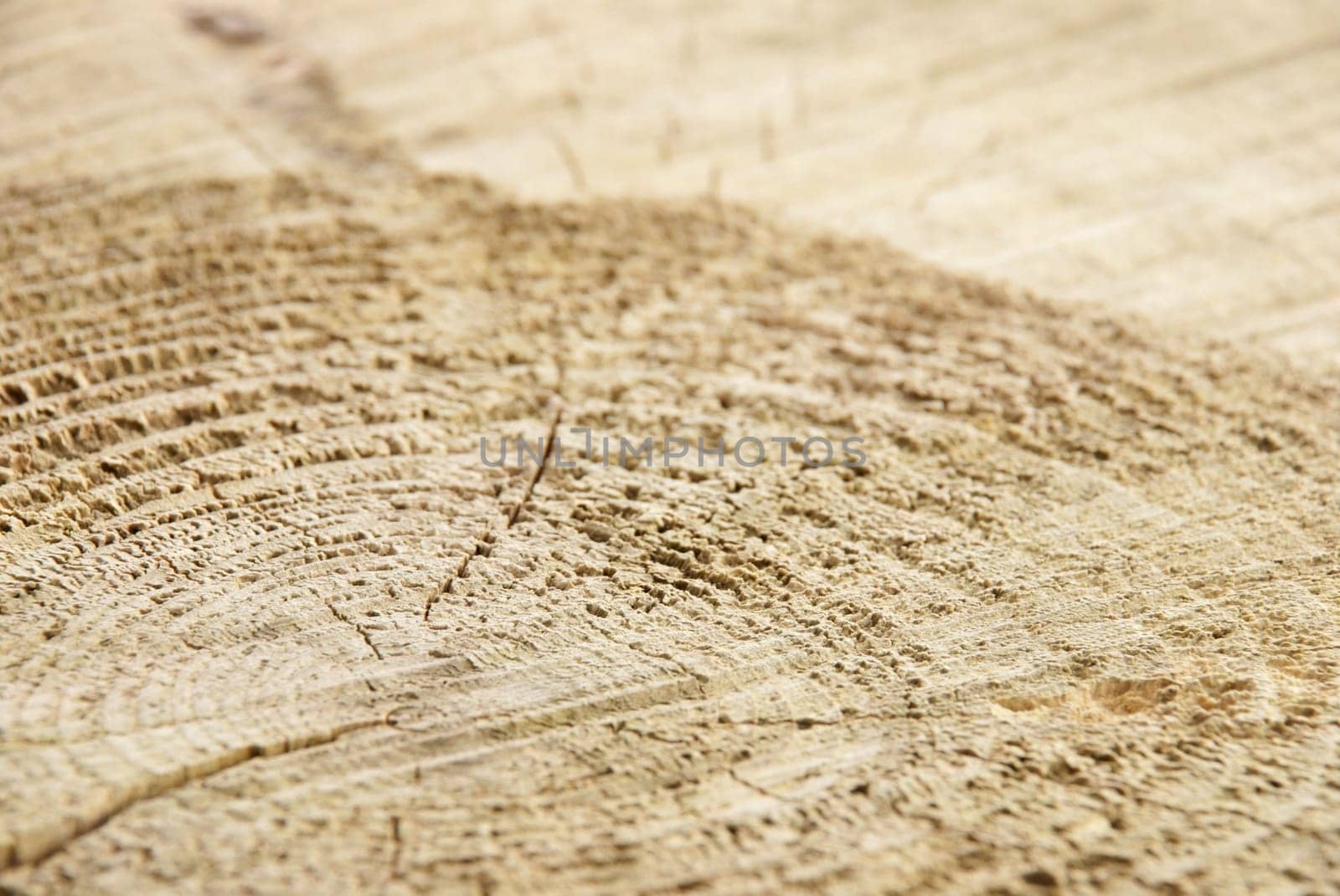 a piece of wood as background with copy space