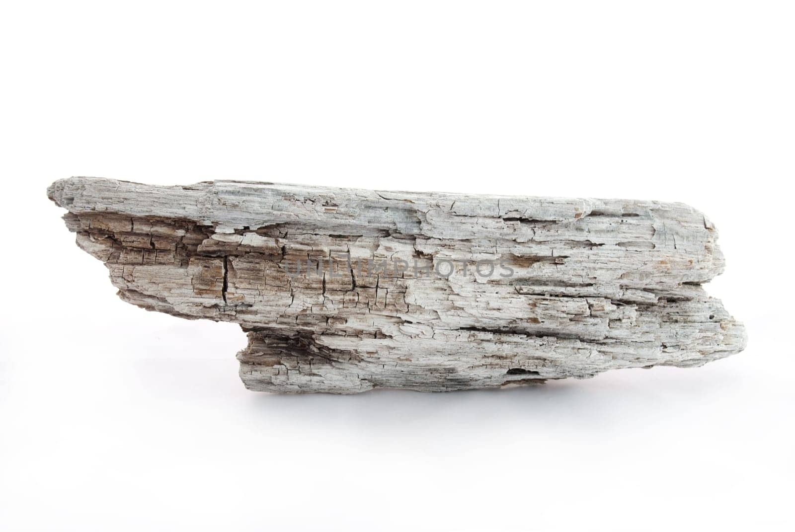 a pice of driftwood as banner with copy space, on white