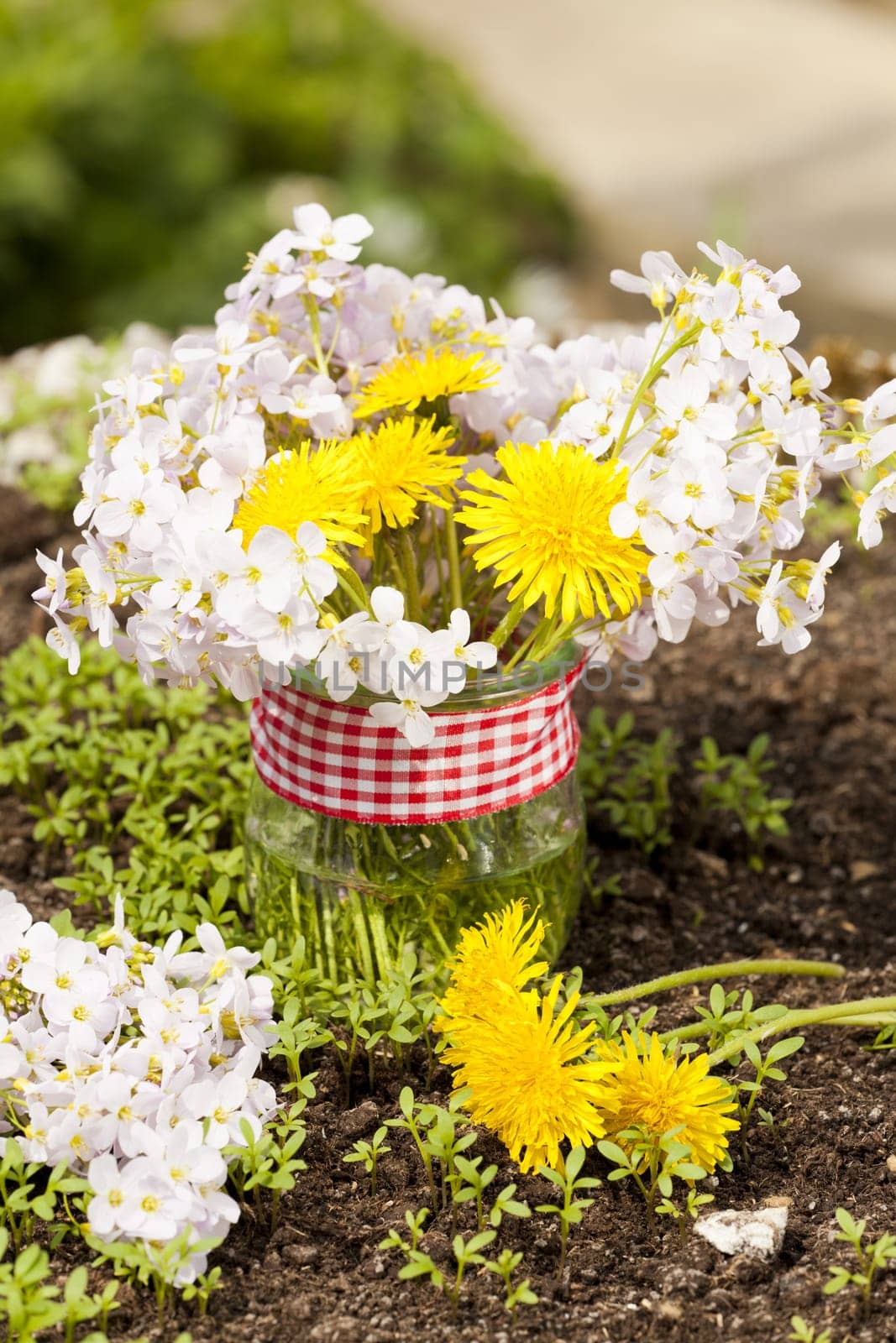 Dandelion and meadowfoam in a small jar
