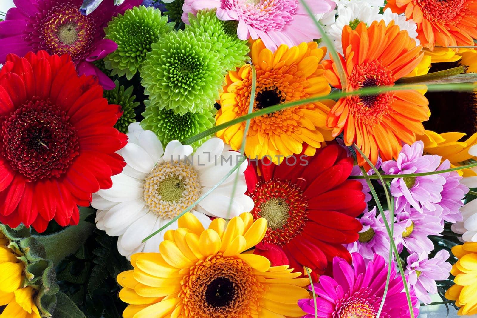Close-up of colorful spring bouquet with many different flowers