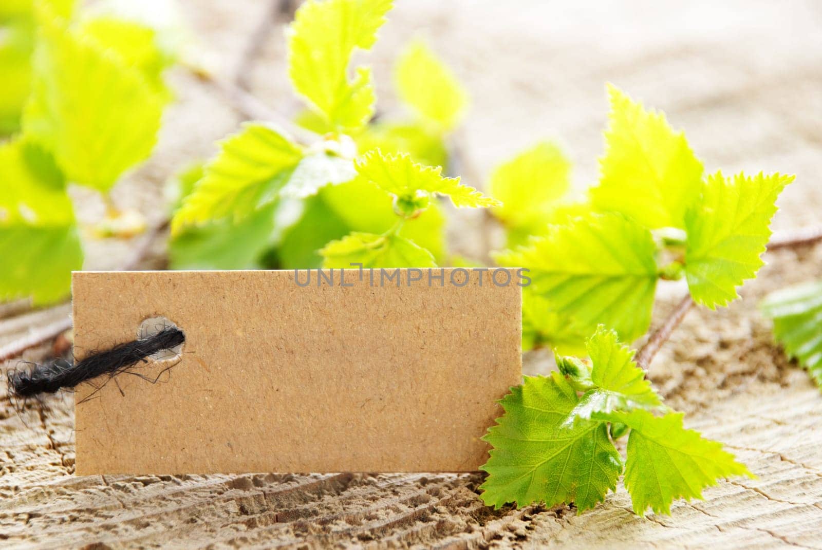 a natural looking label with green leaves and wood as background