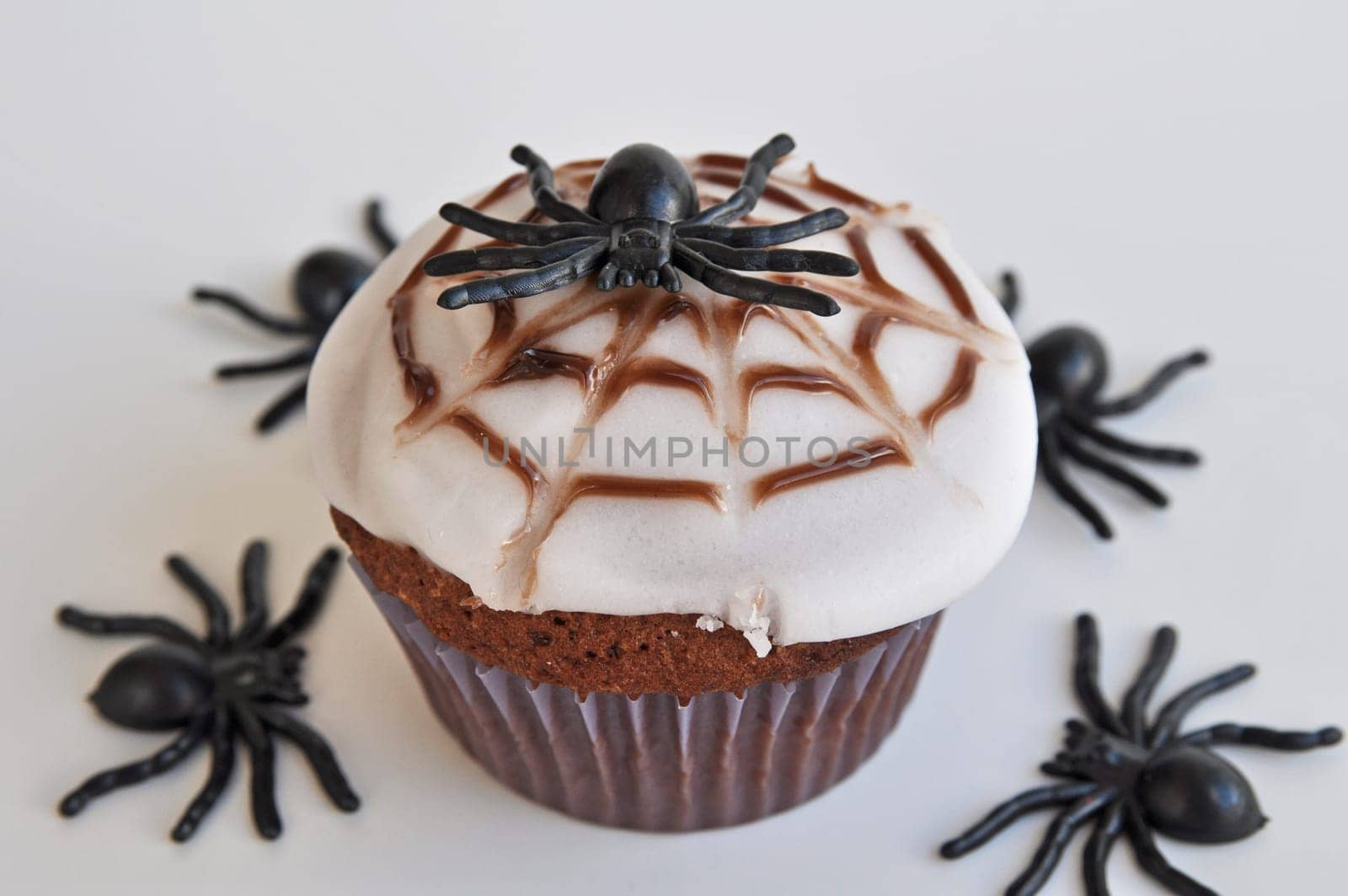 Spider Cupcakes