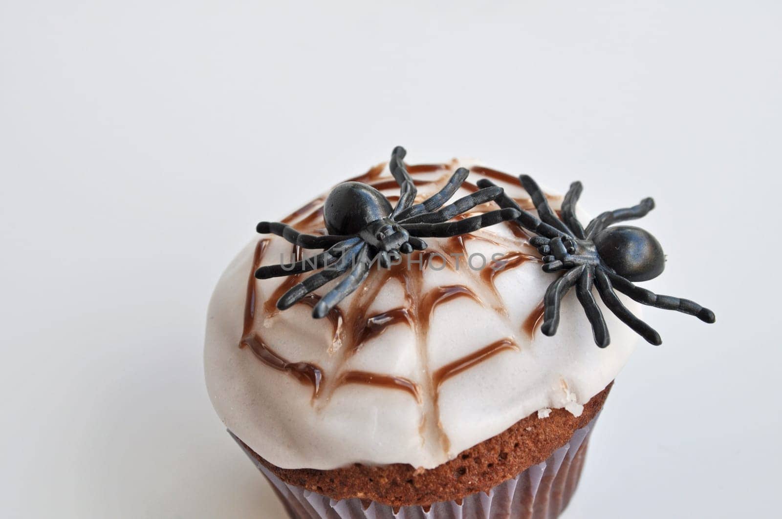 Spider Cupcakes