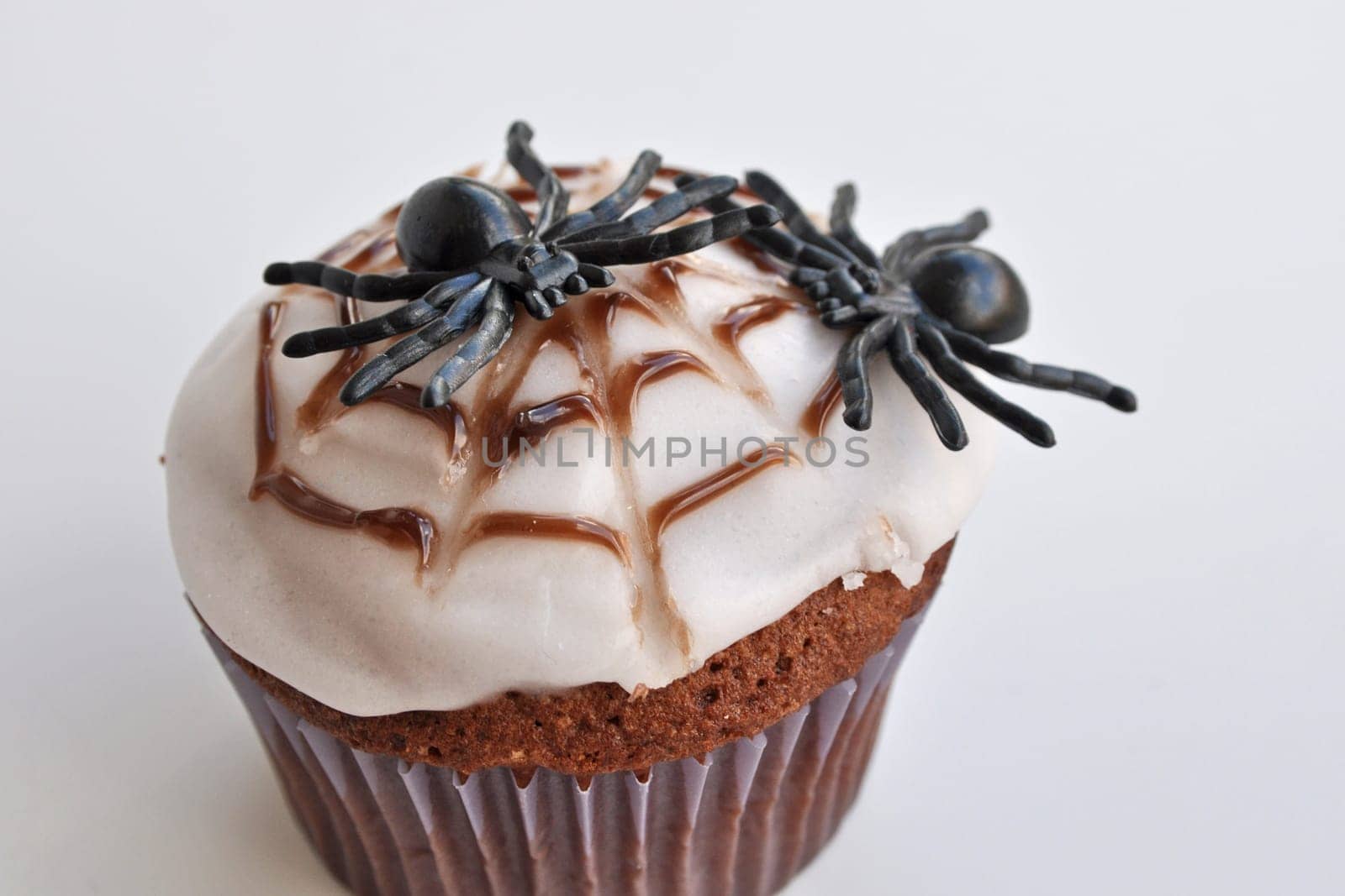 Spider Cupcakes