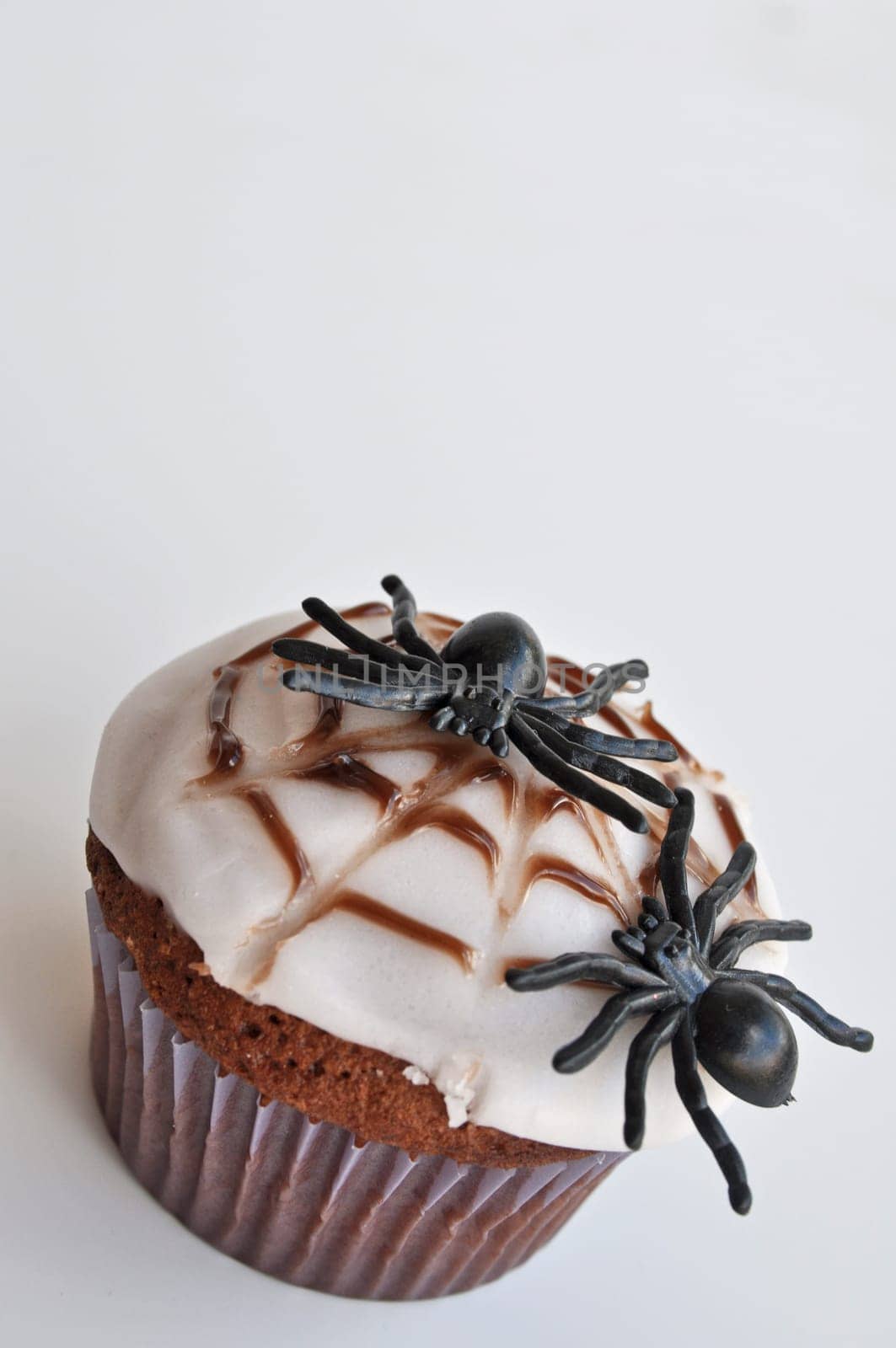 Spider Cupcakes